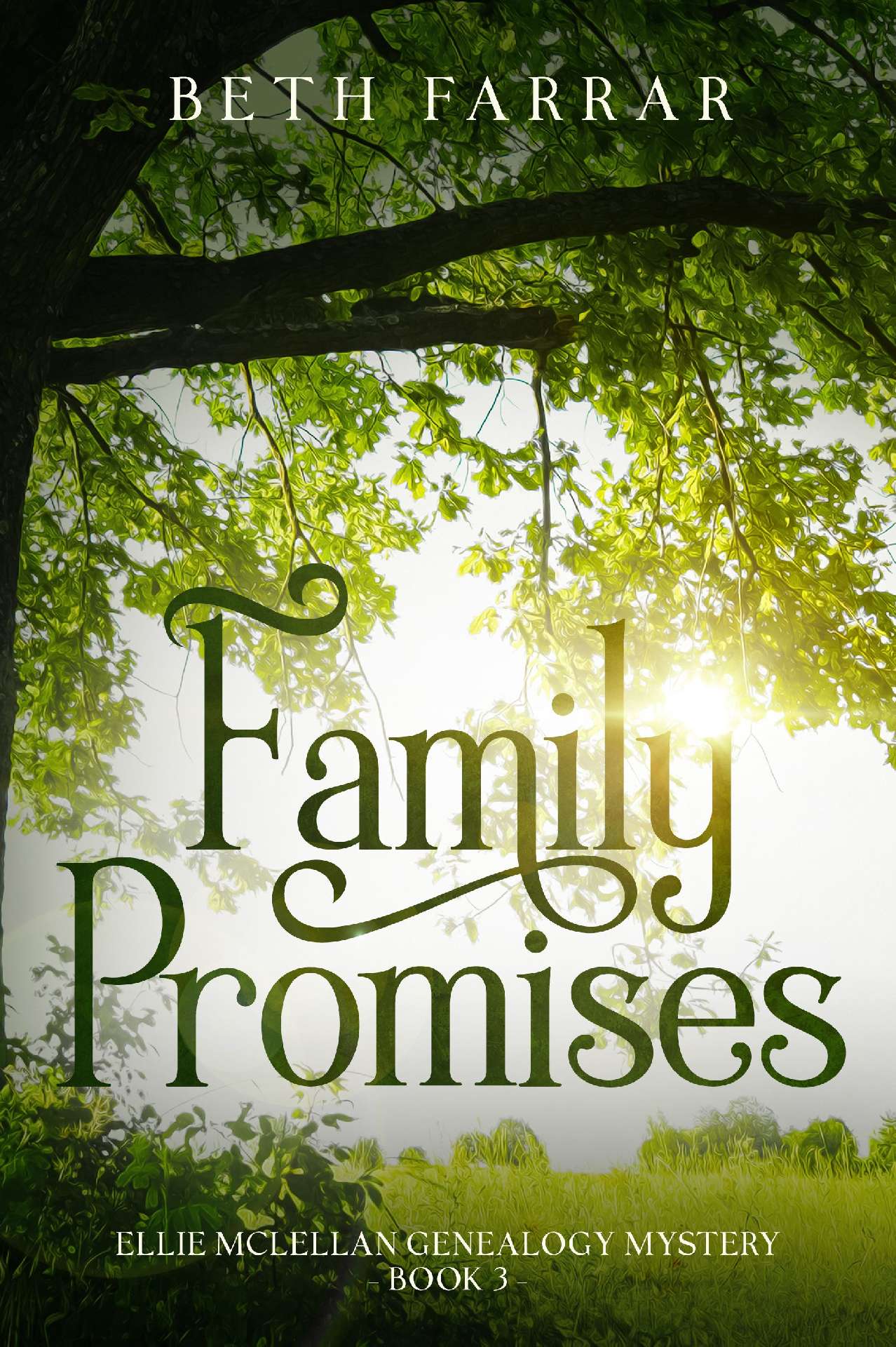 Family Promises - Ellie McLellan Genealogy Mystery 3