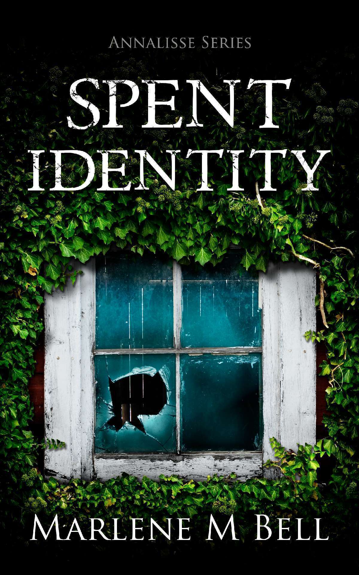 Spent Identity - Annalisse series 2