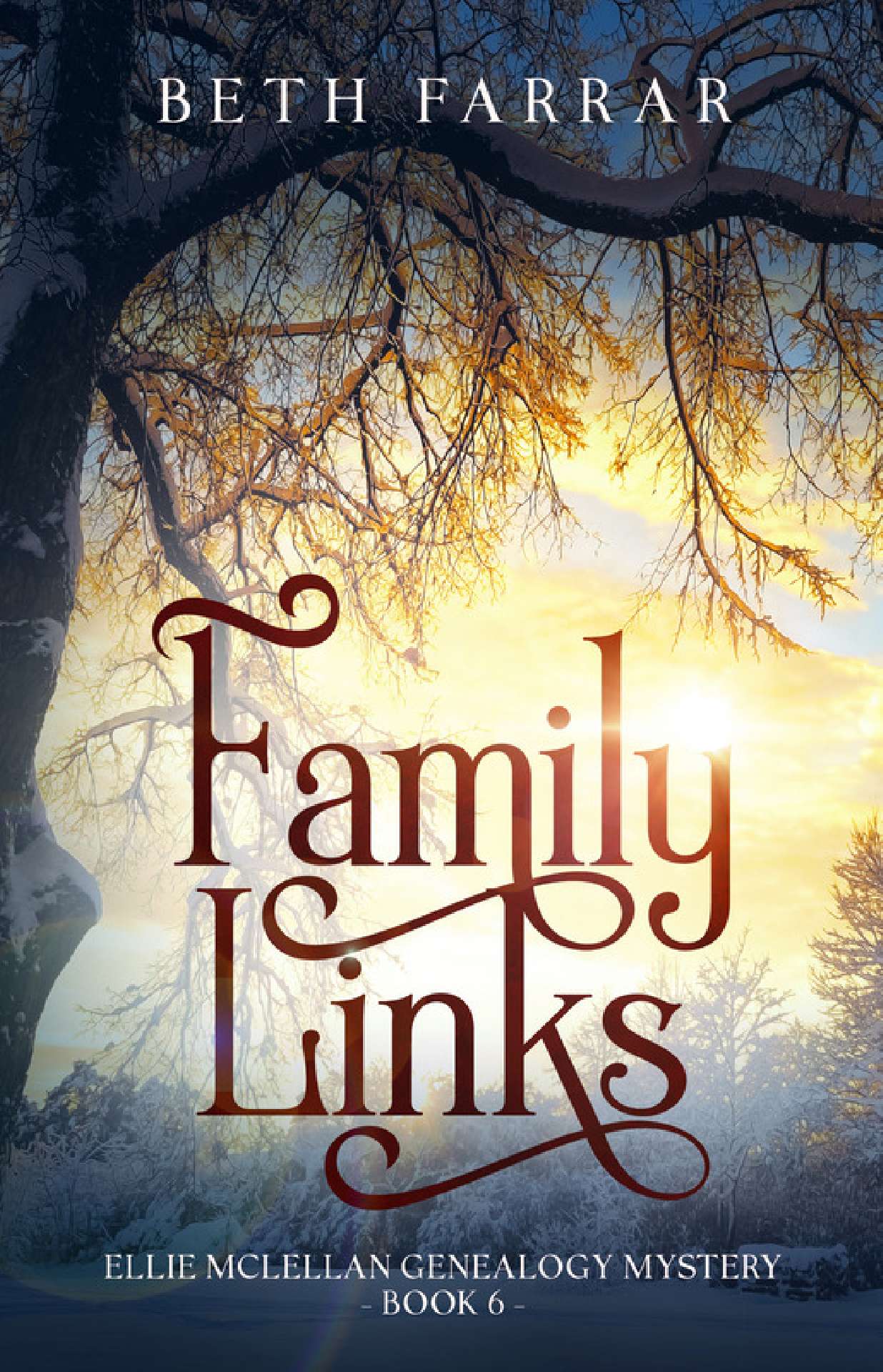 Family Links - Ellie McLellan Genealogy Mystery 6