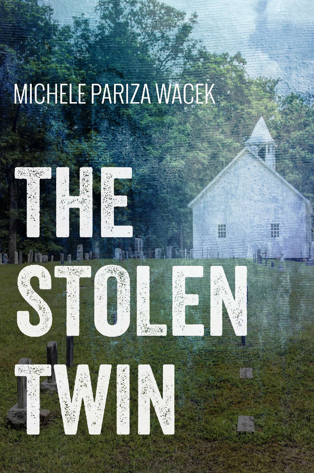 The Stolen Twin - The Riverview Mysteries 2