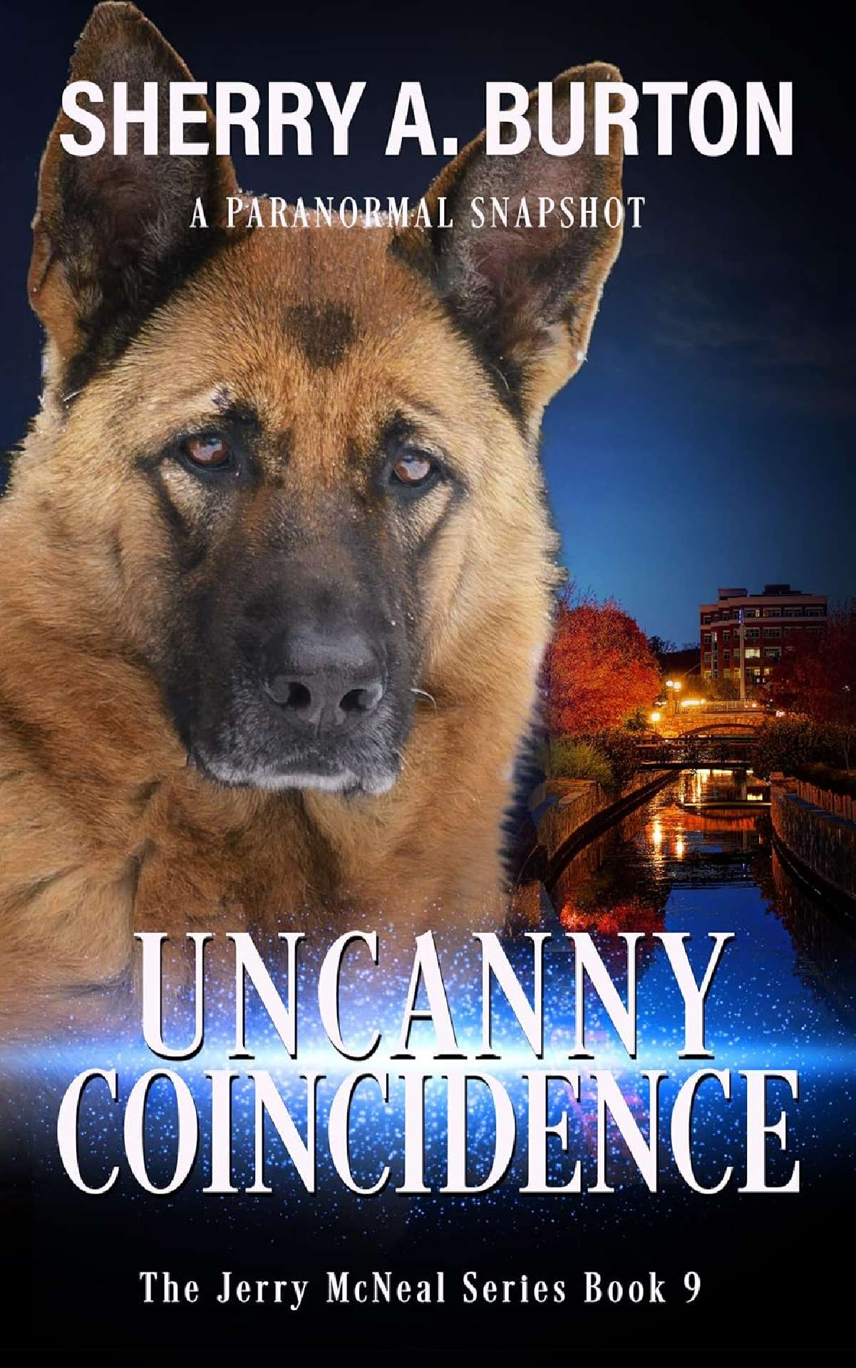 Uncanny Coincidence (book 9) - The Jerry McNeal Series