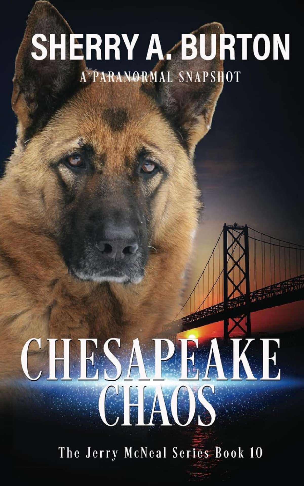 Chesapeake Chaos (book 10) - The Jerry McNeal Series