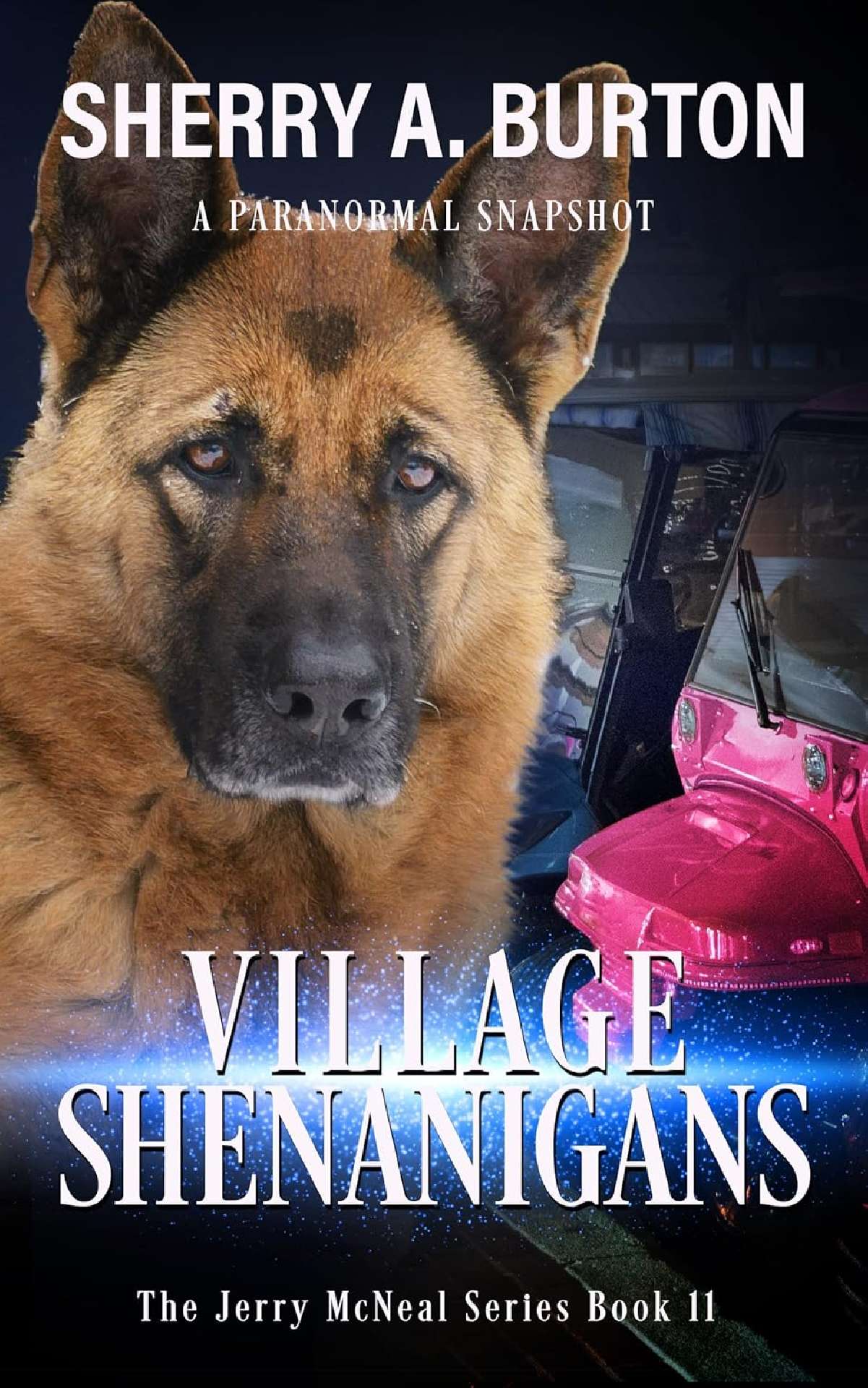 Village Shenanigans (book 11)