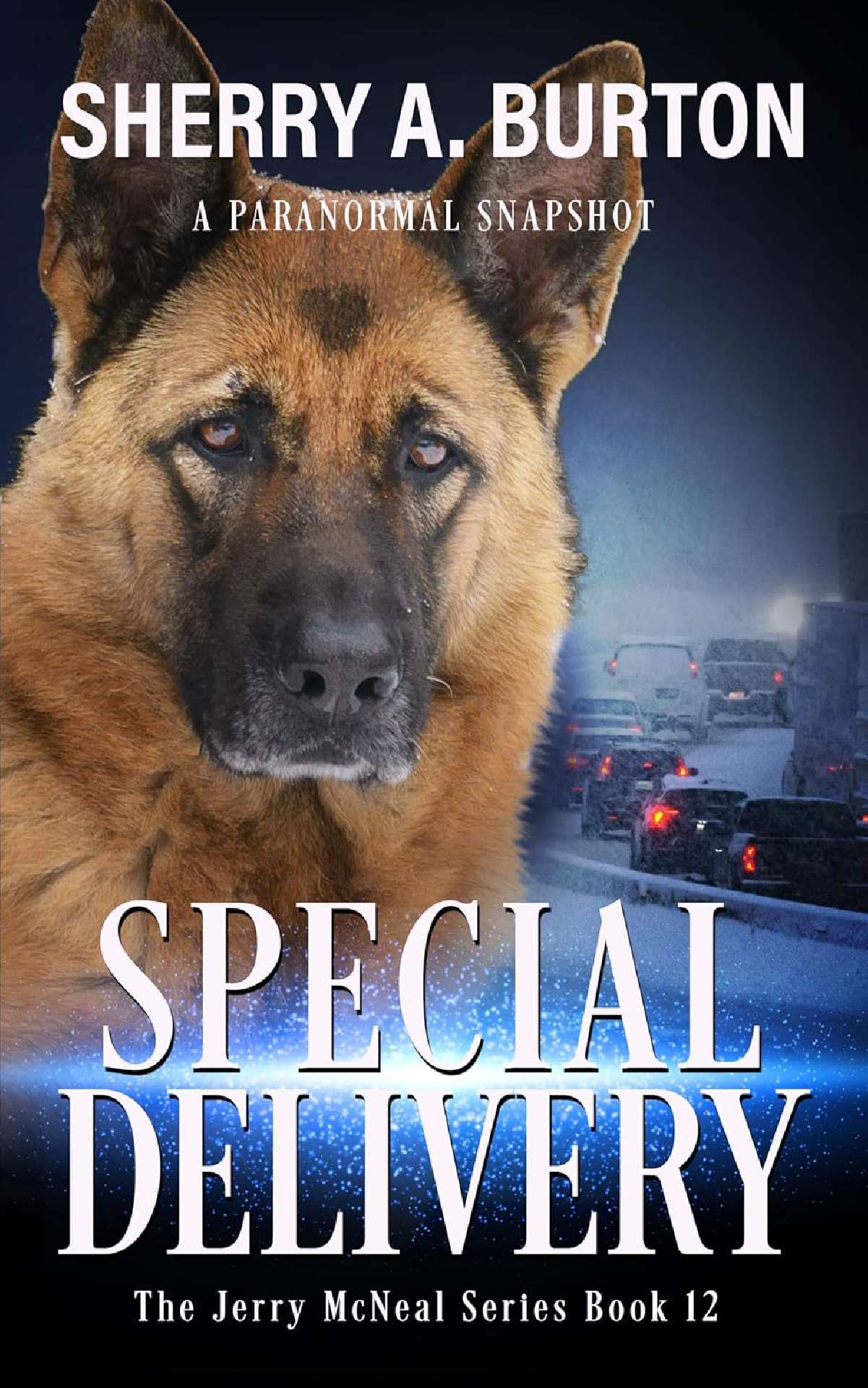 Special Delivery  (book 12) - The Jerry McNeal Series