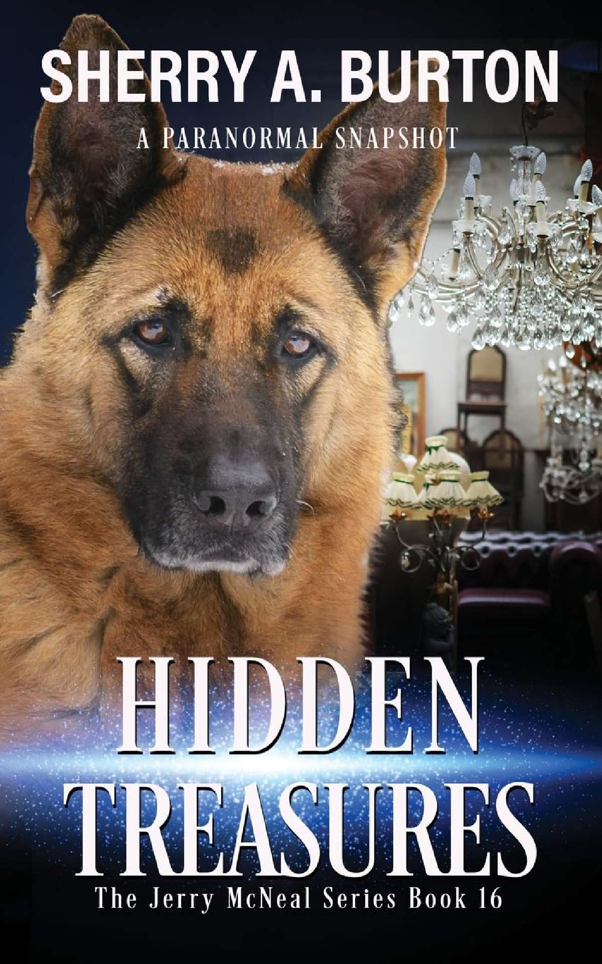 Hidden Treasures (book 16) - The Jerry McNeal Series