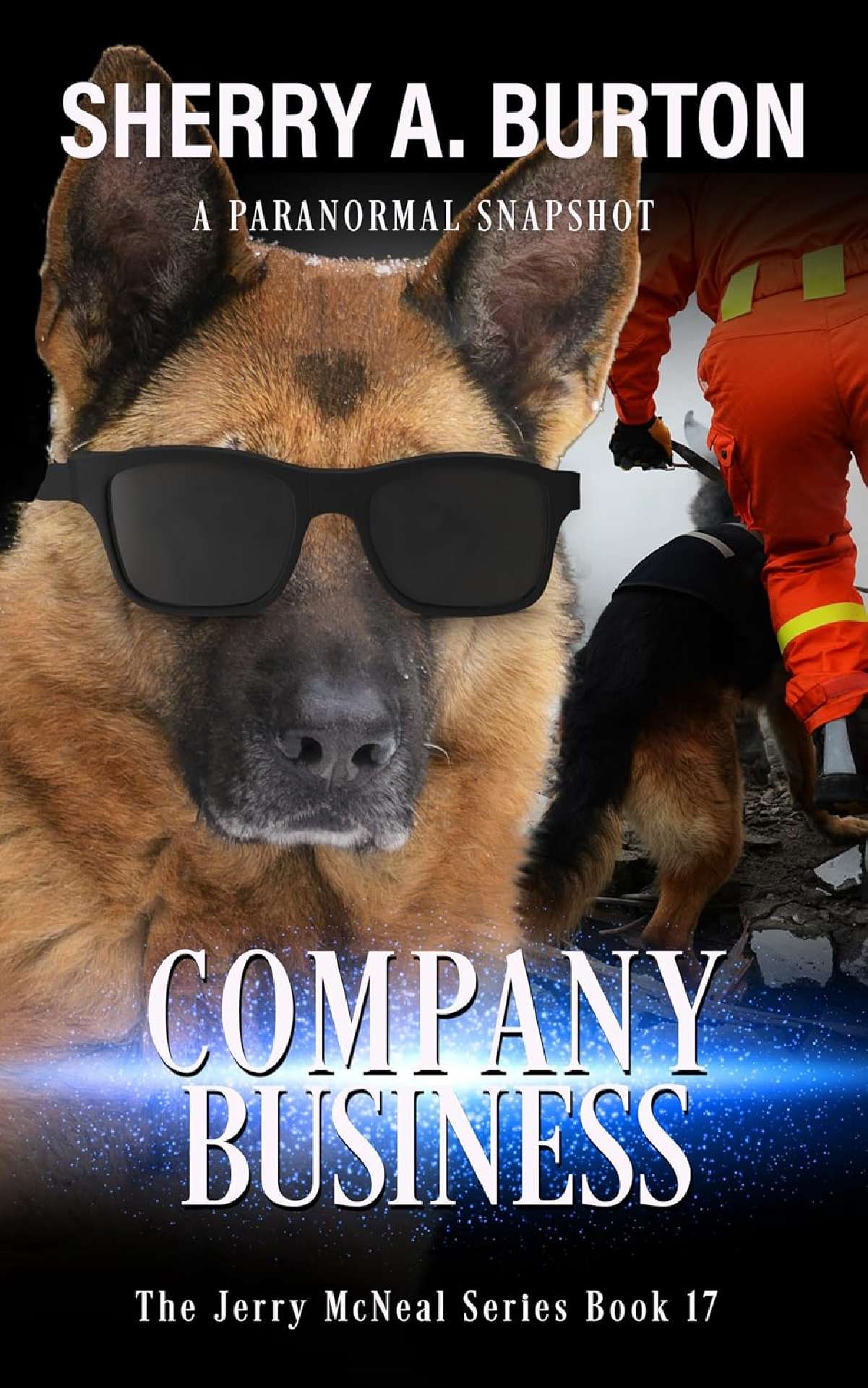 Company Business (book 17) - The Jerry McNeal Series