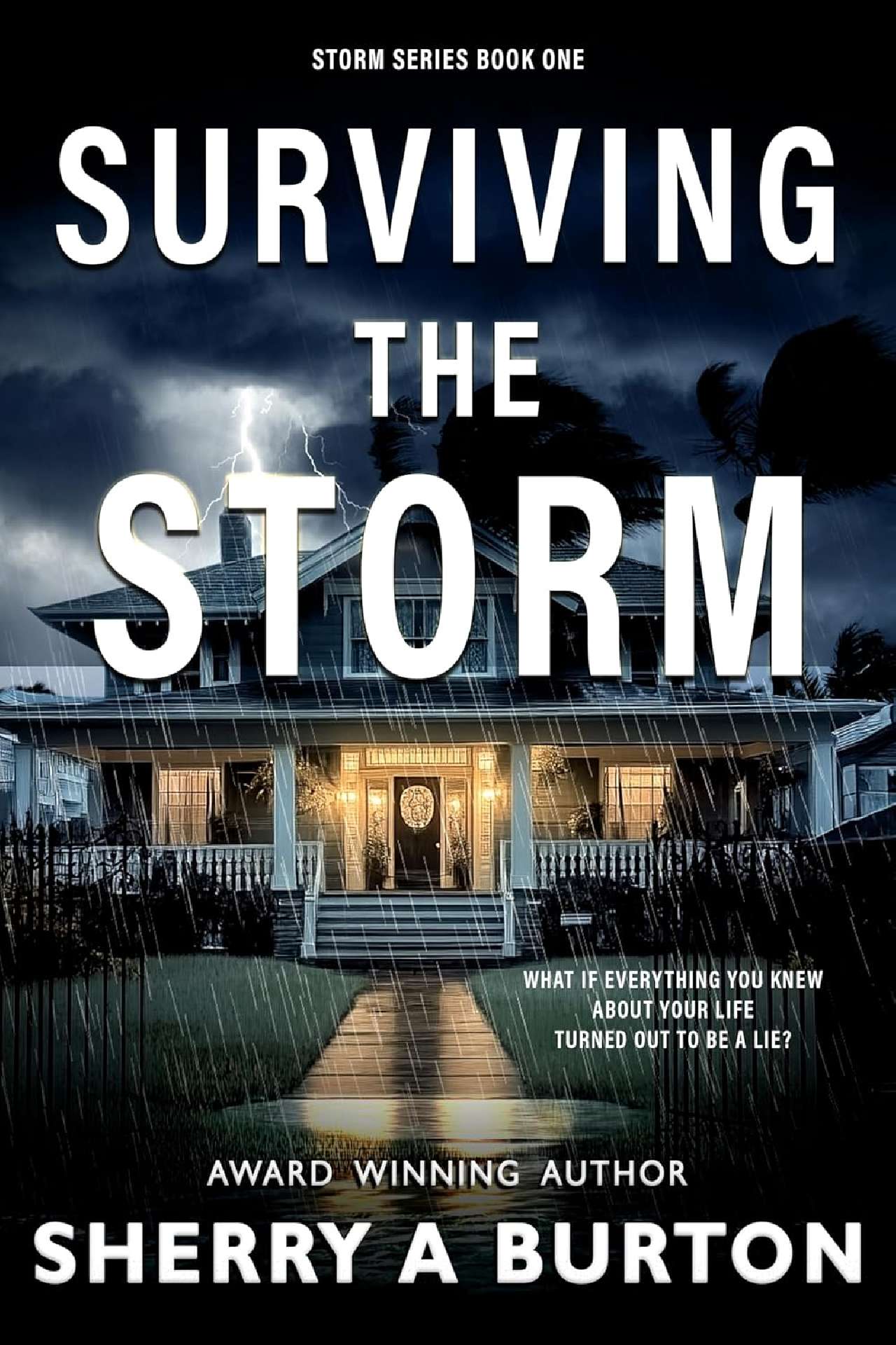 Surviving The Storm (book 1) - The Storm Series