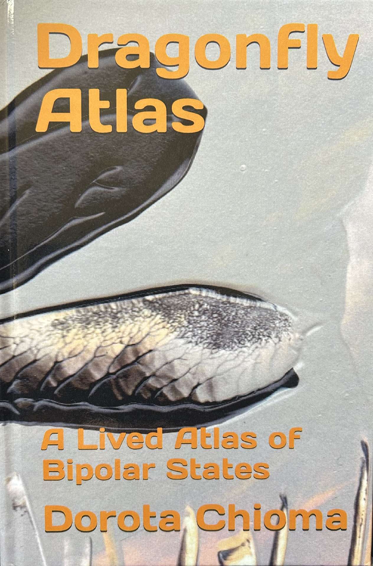 Dragonfly Atlas: A Lived Atlas of Bipolar States