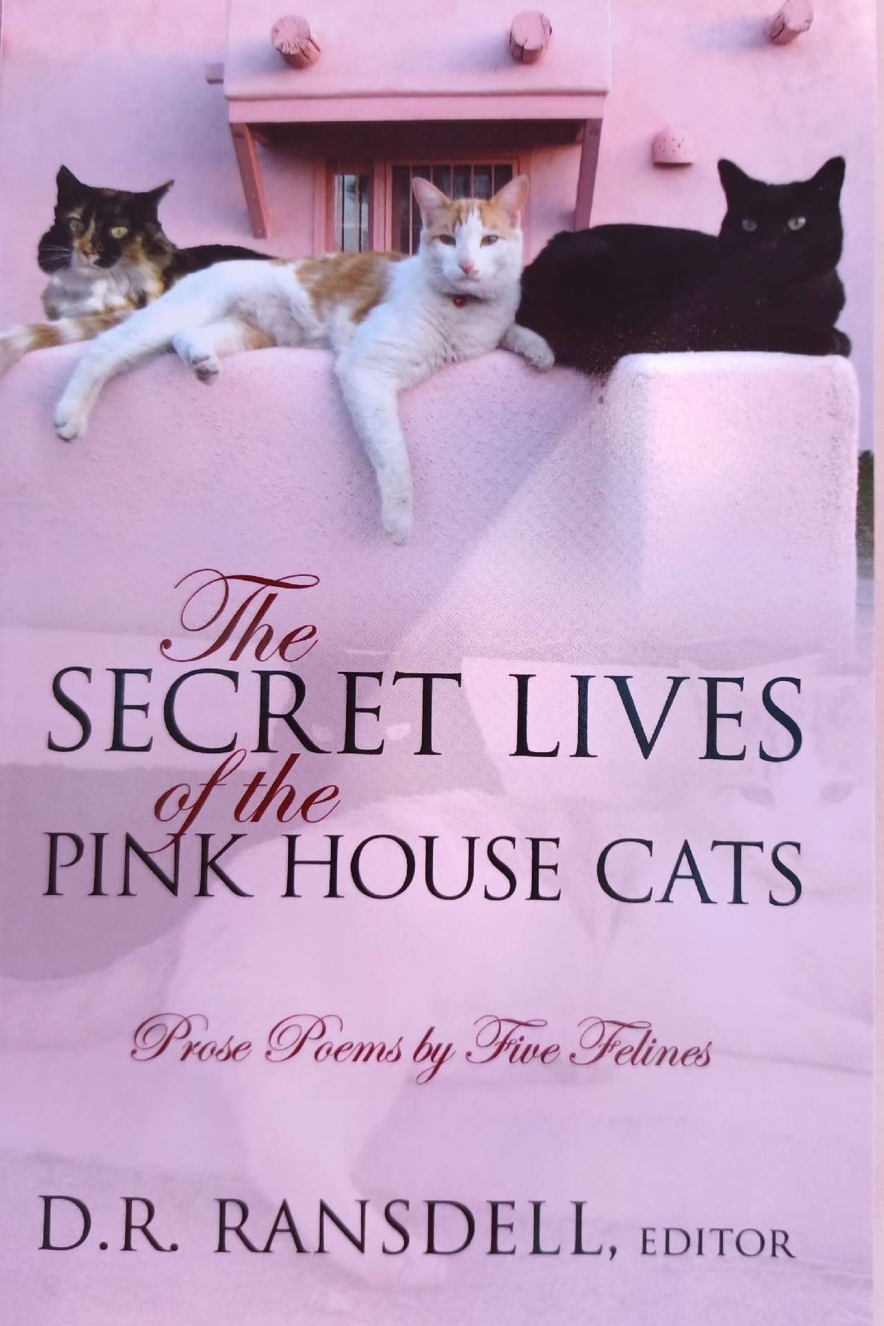 The Secret Lives of the Pink House Cats