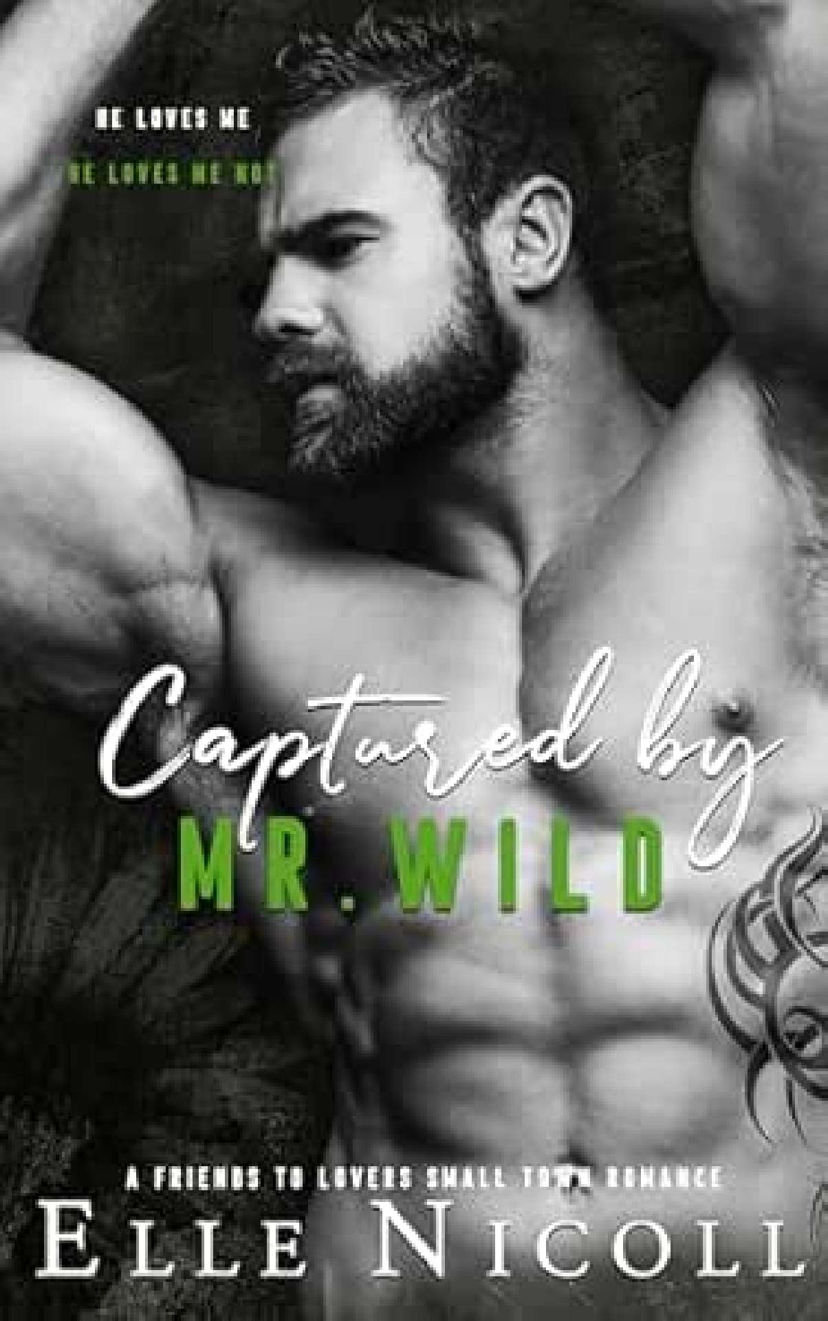 Captured by Mr. Wild - The Men 4
