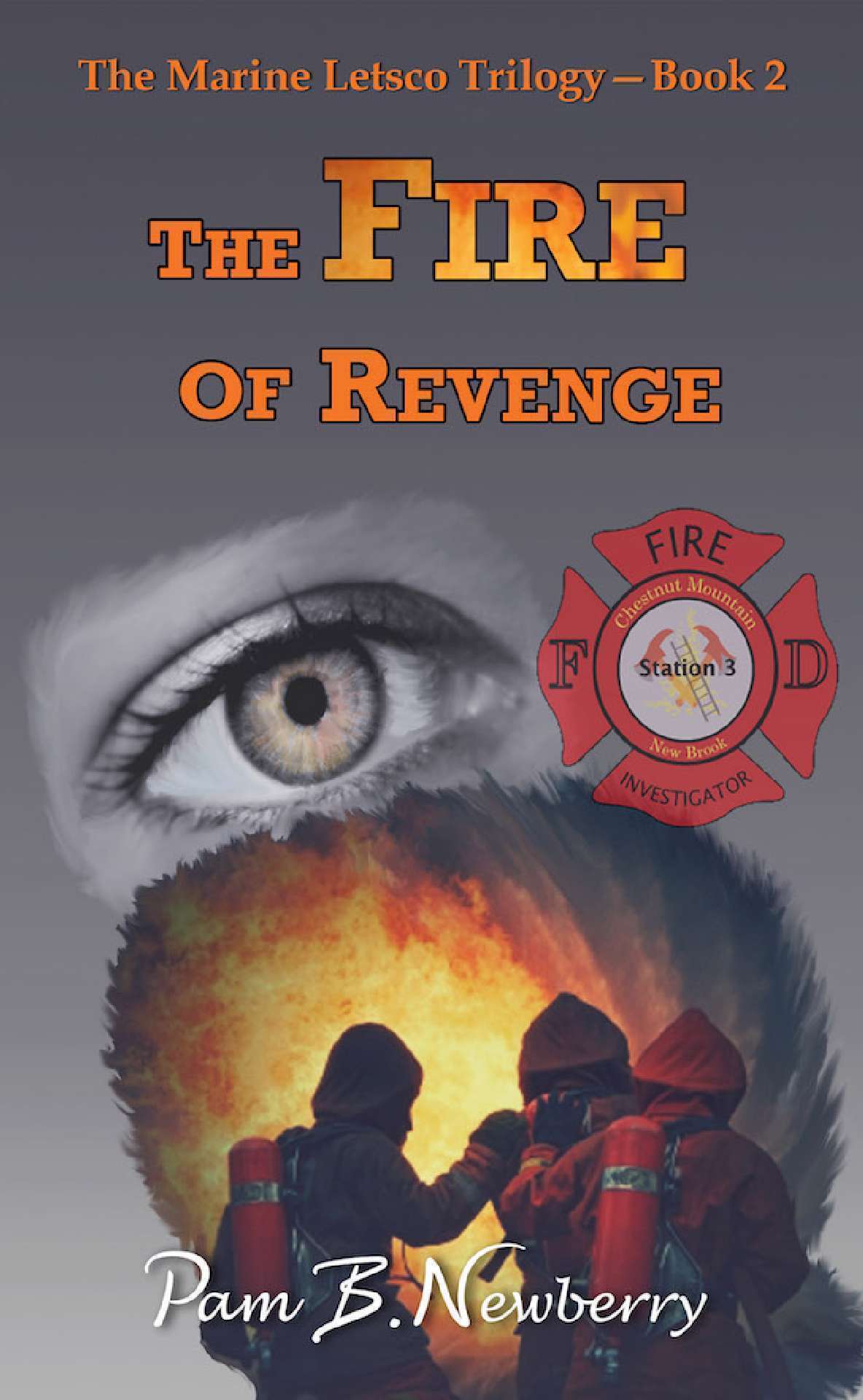 The Fire of Revenge - The Marine Letsco Trilogy 2