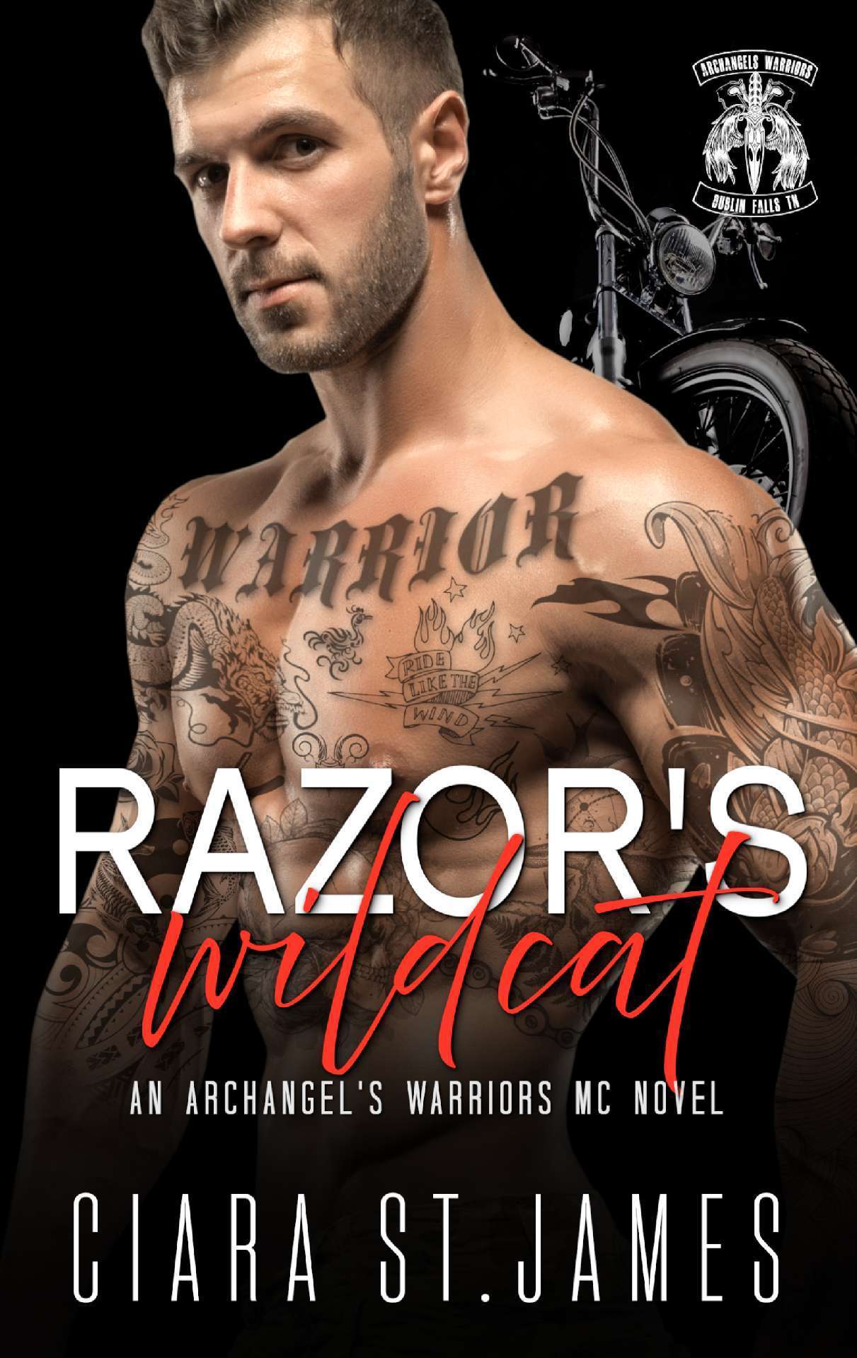 Razor's Wildcat - Dublin Falls Archangel's Warriors MC 13