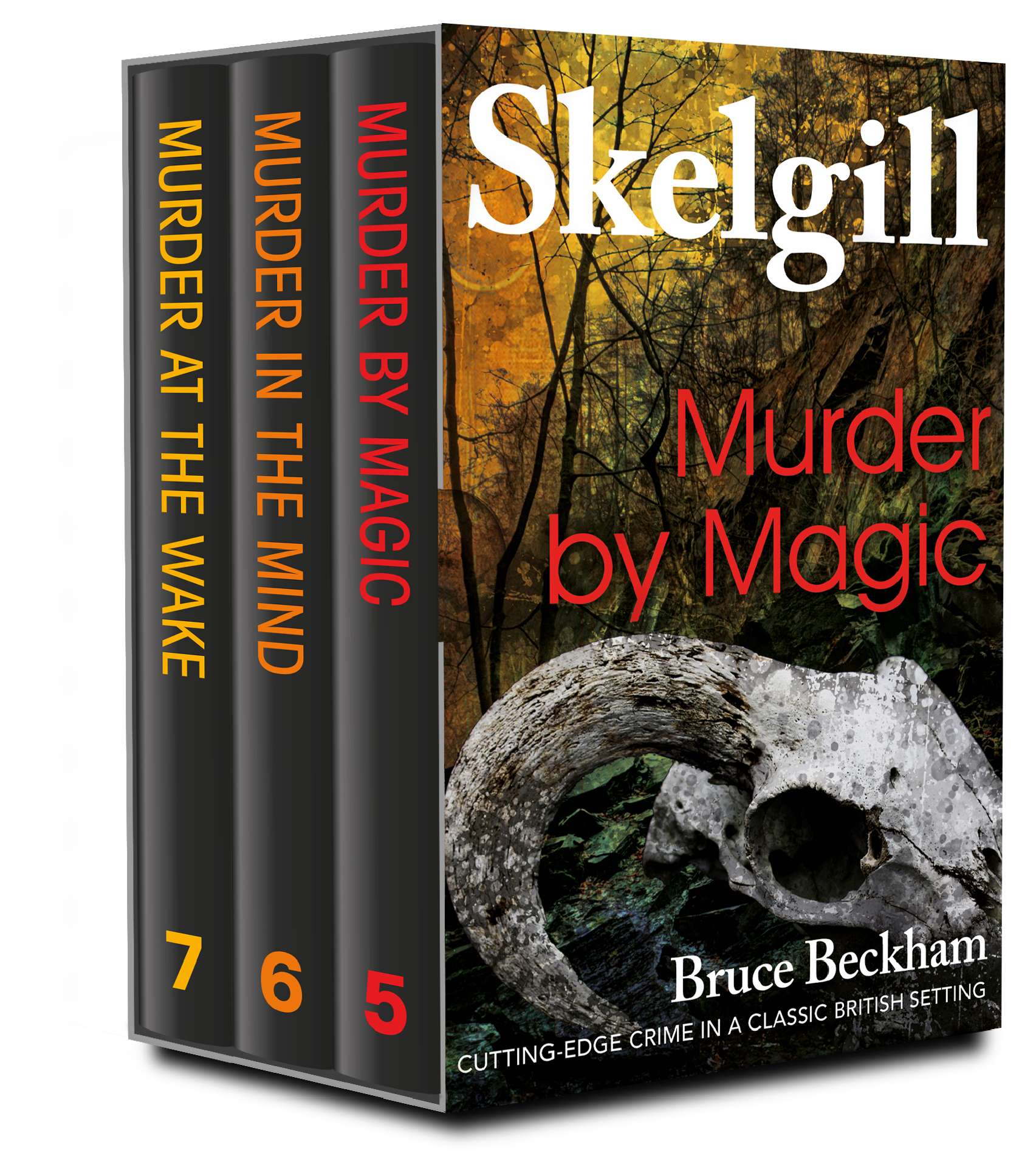 The DI Skelgill Series Books 5-7 - Detective Inspector Skelgill Boxset 2