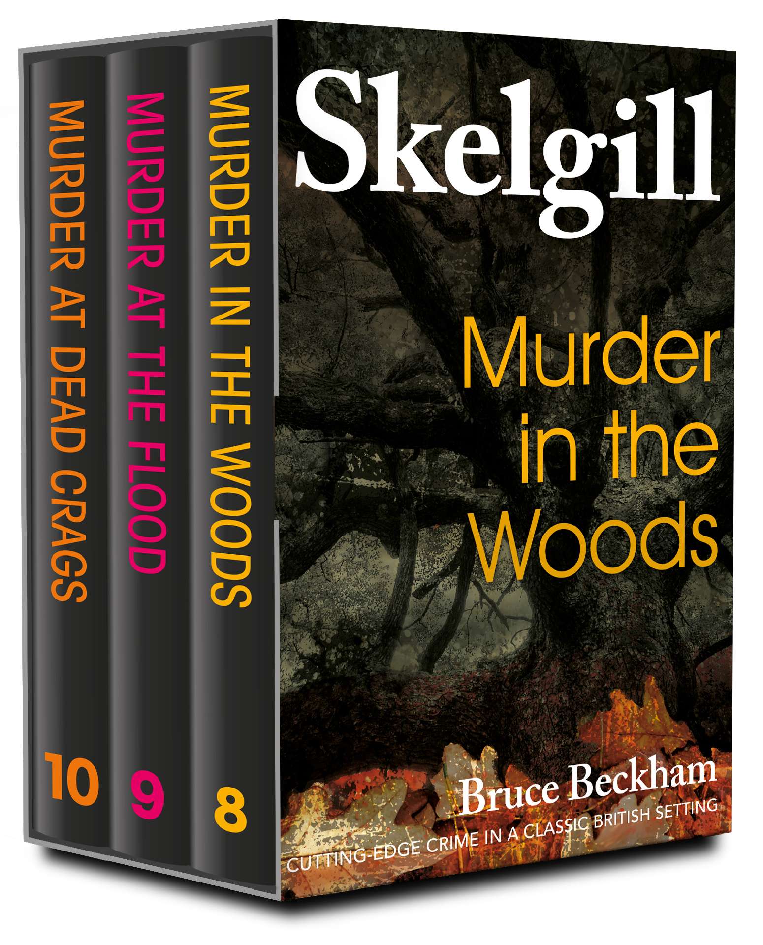 The DI Skelgill Series Books 8-10 - Detective Inspector Skelgill Boxset 3