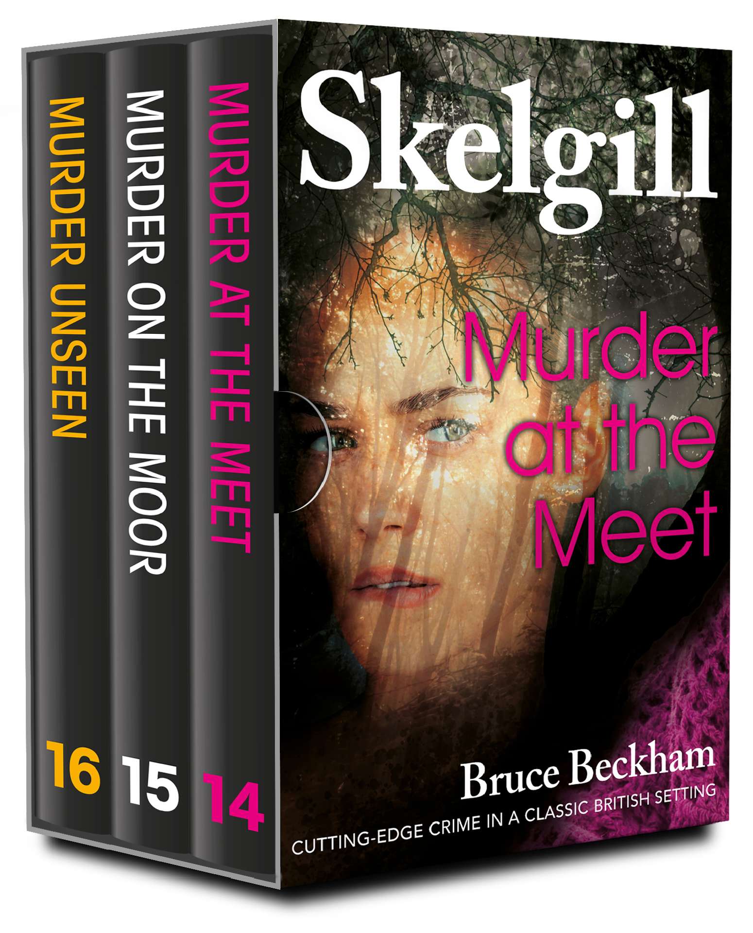 The DI Skelgill Series Books 14-16 - Detective Inspector Skelgill Boxset 5