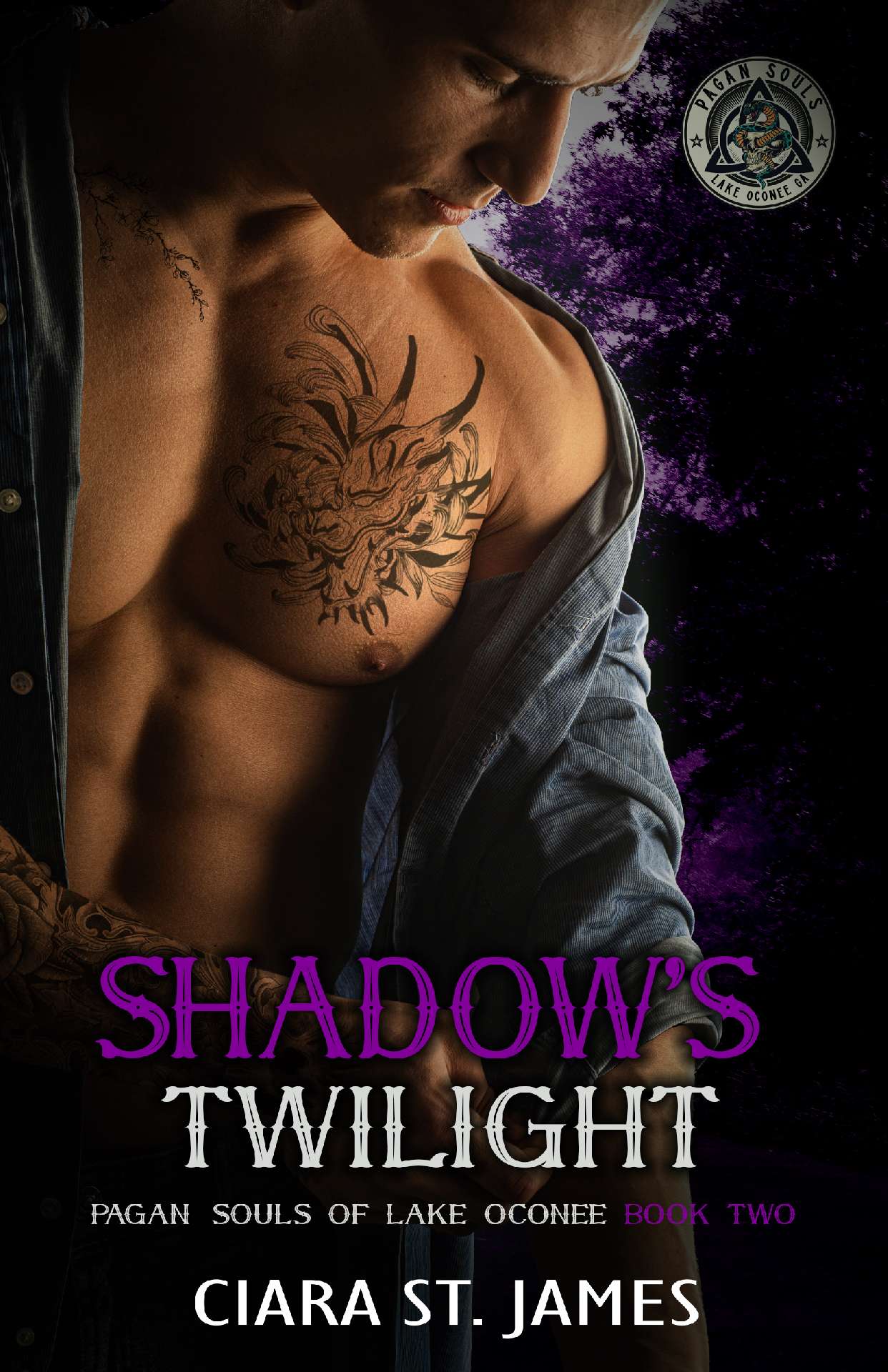 Shadow's Twilight - Pagan Souls of Oconee 2