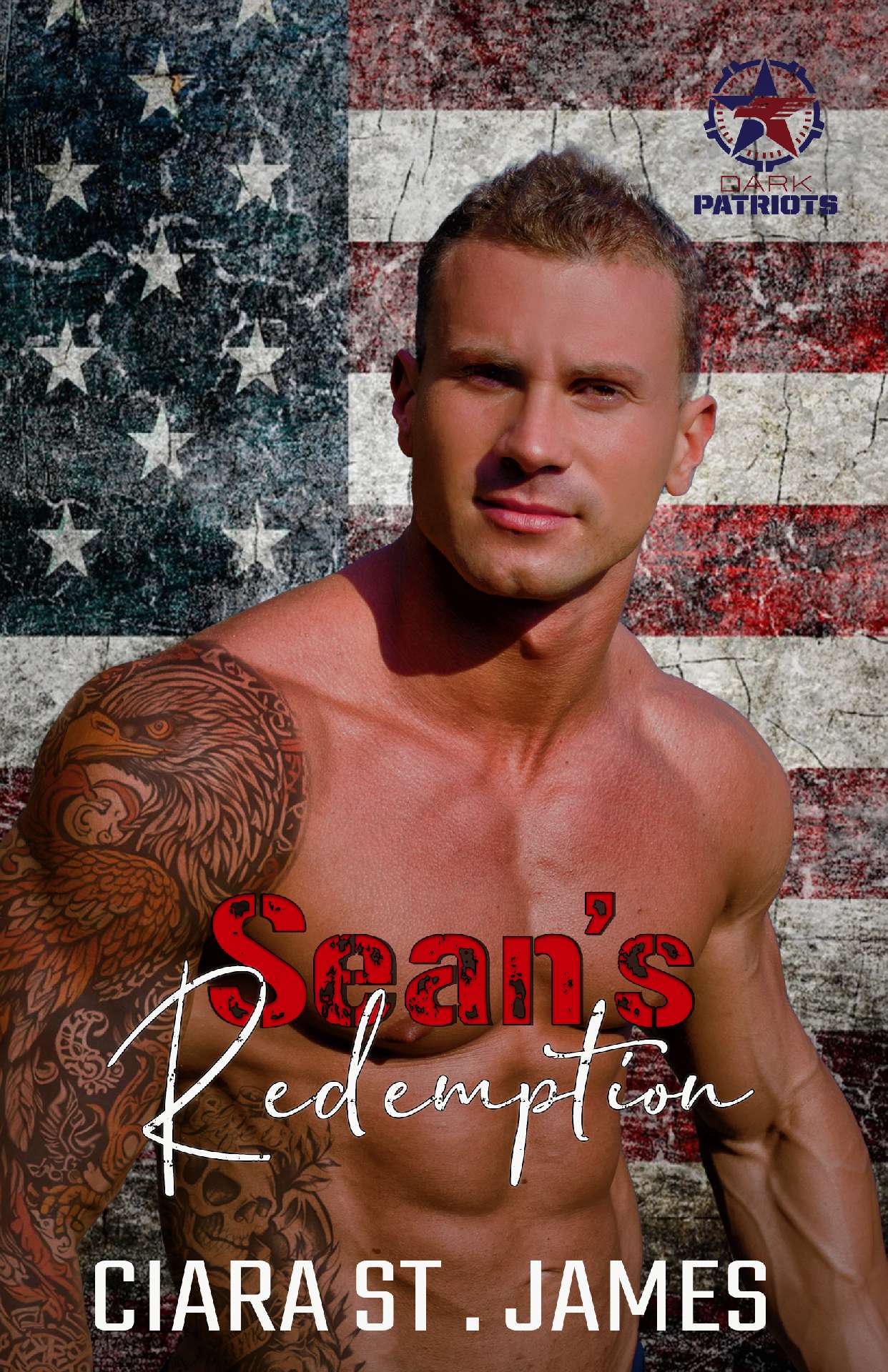 Sean's Redemption - Dark Patriots 3.5