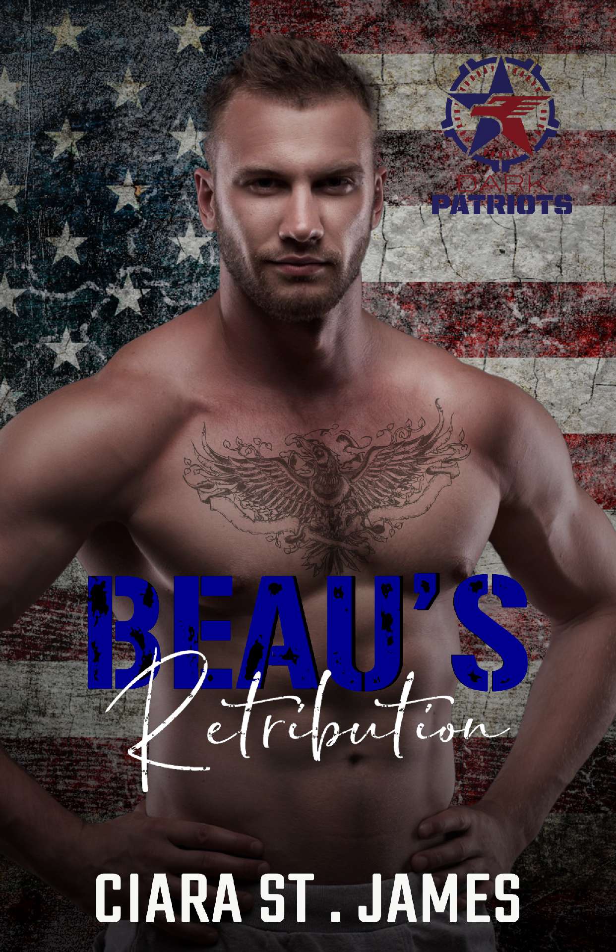 Beau's Retribution - Dark Patriots 4
