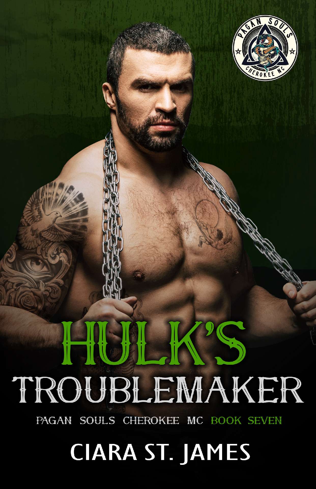 Hulk's Troublemaker - Pagan Souls of Cherokee MC 7