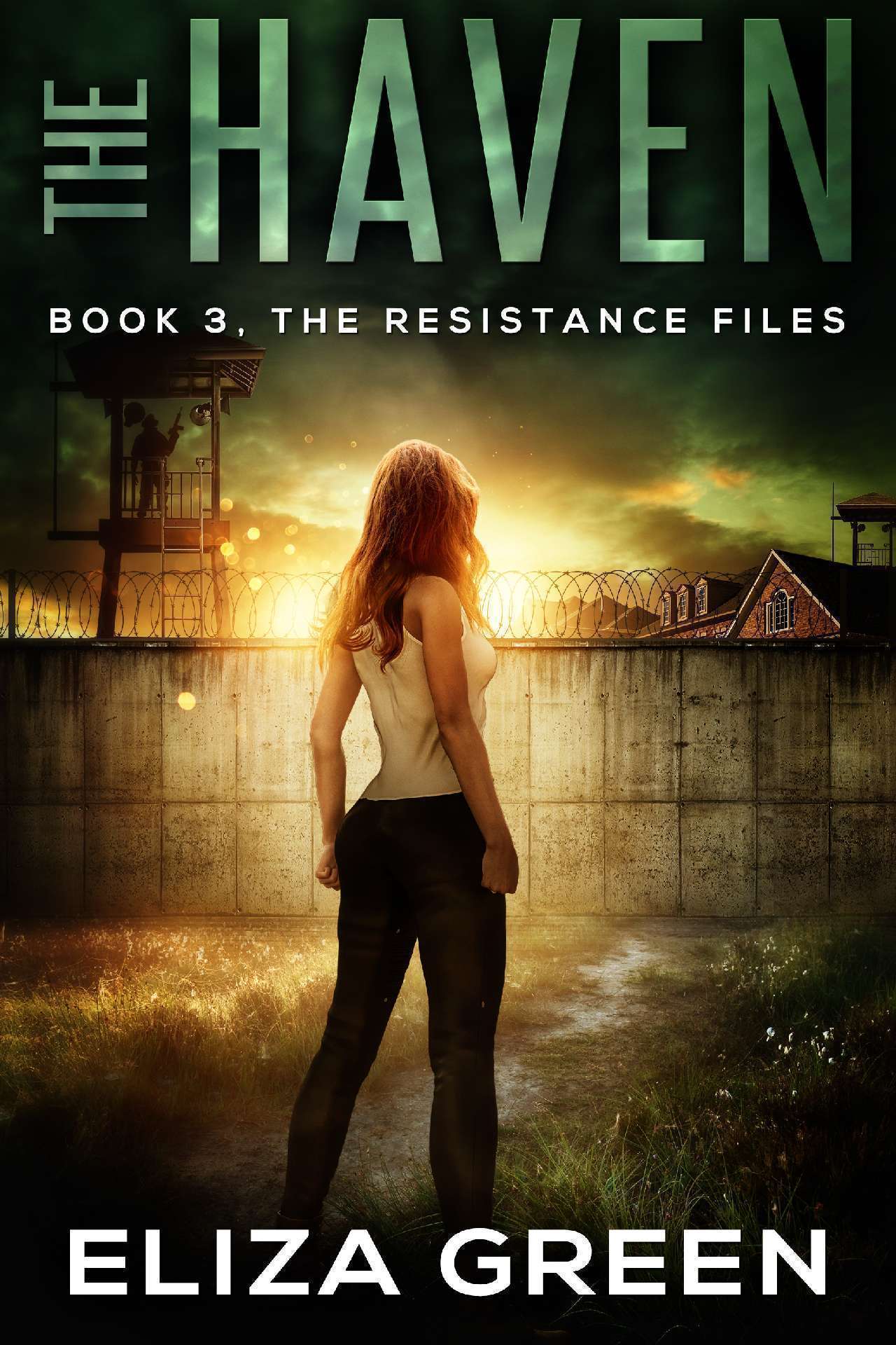 The Haven - The Resistance Files 3