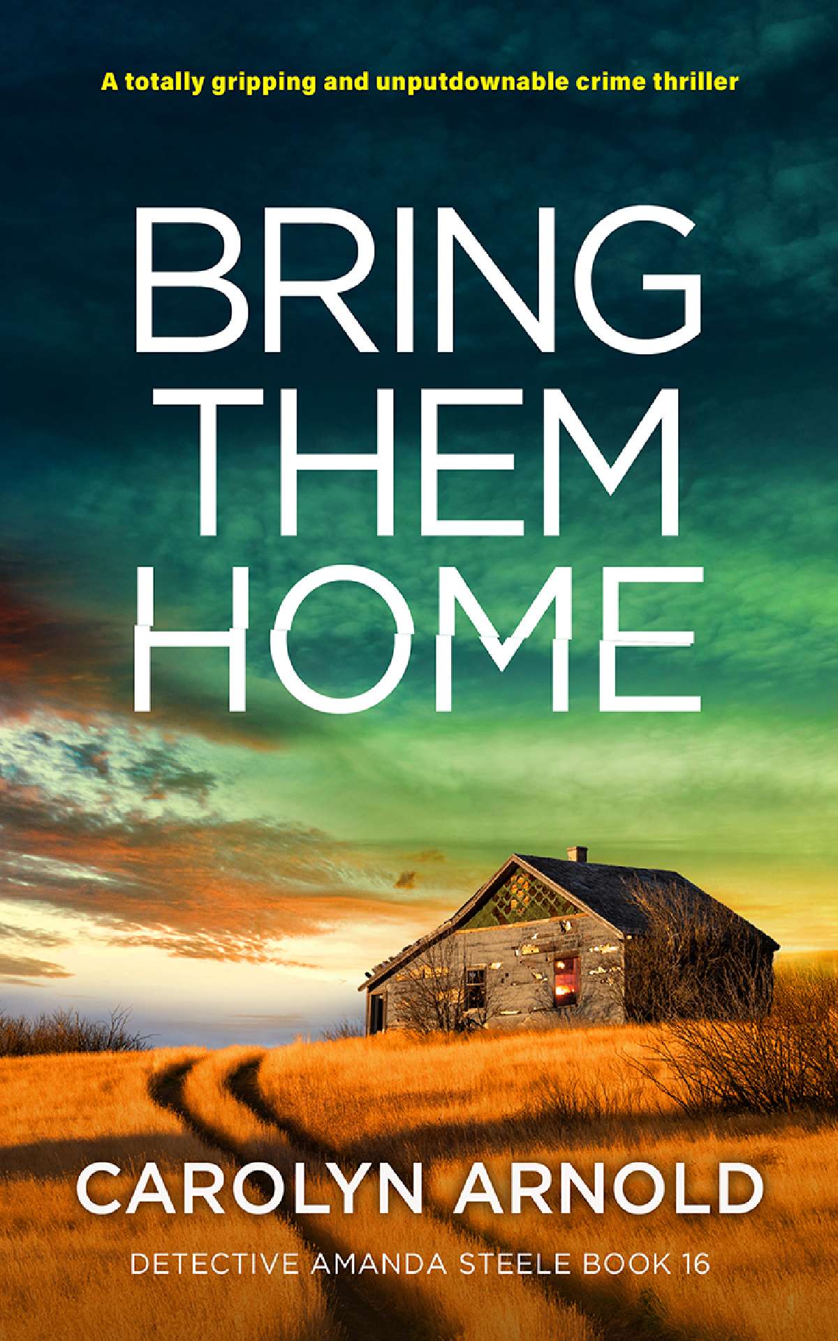 Bring Them Home - Detective Amanda Steele Series 16 - Detective Amanda Steele Series 16