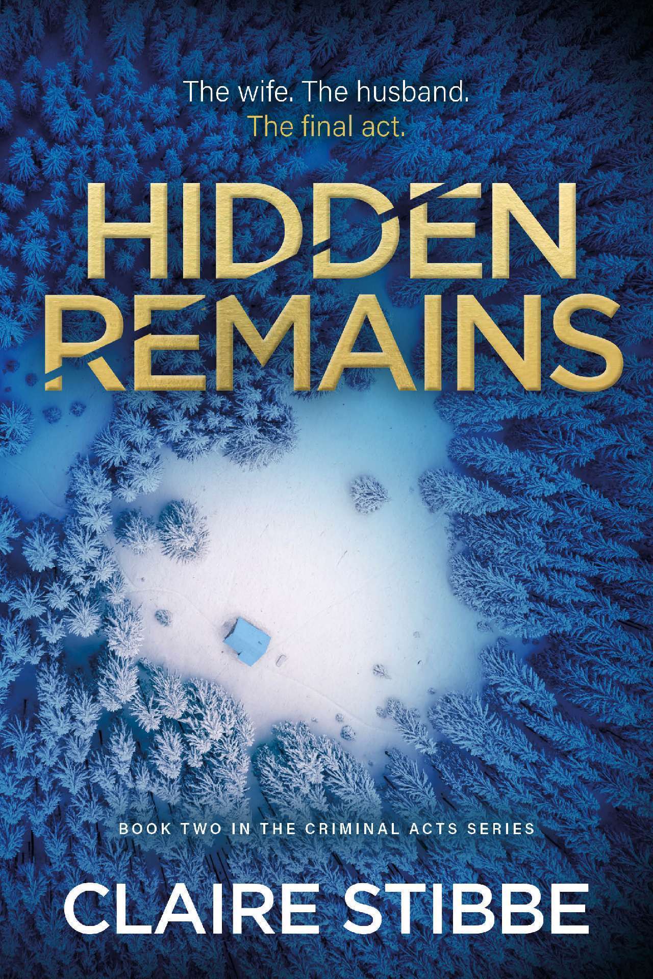 Hidden Remains - Book 2 of the Criminal Acts Series
