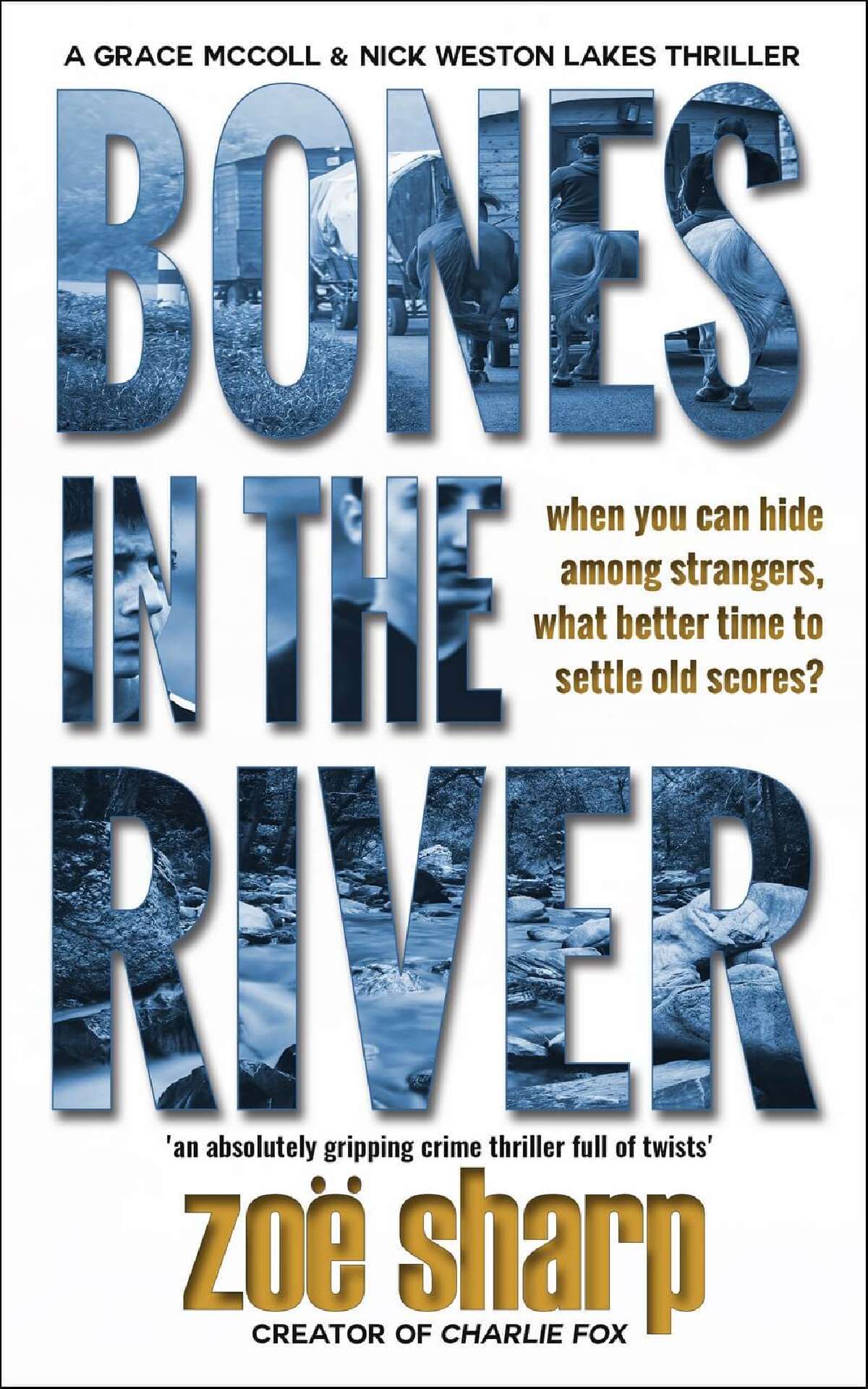 Bones In The River - Grace McColl & Nick Weston Lakes Thrillers 2