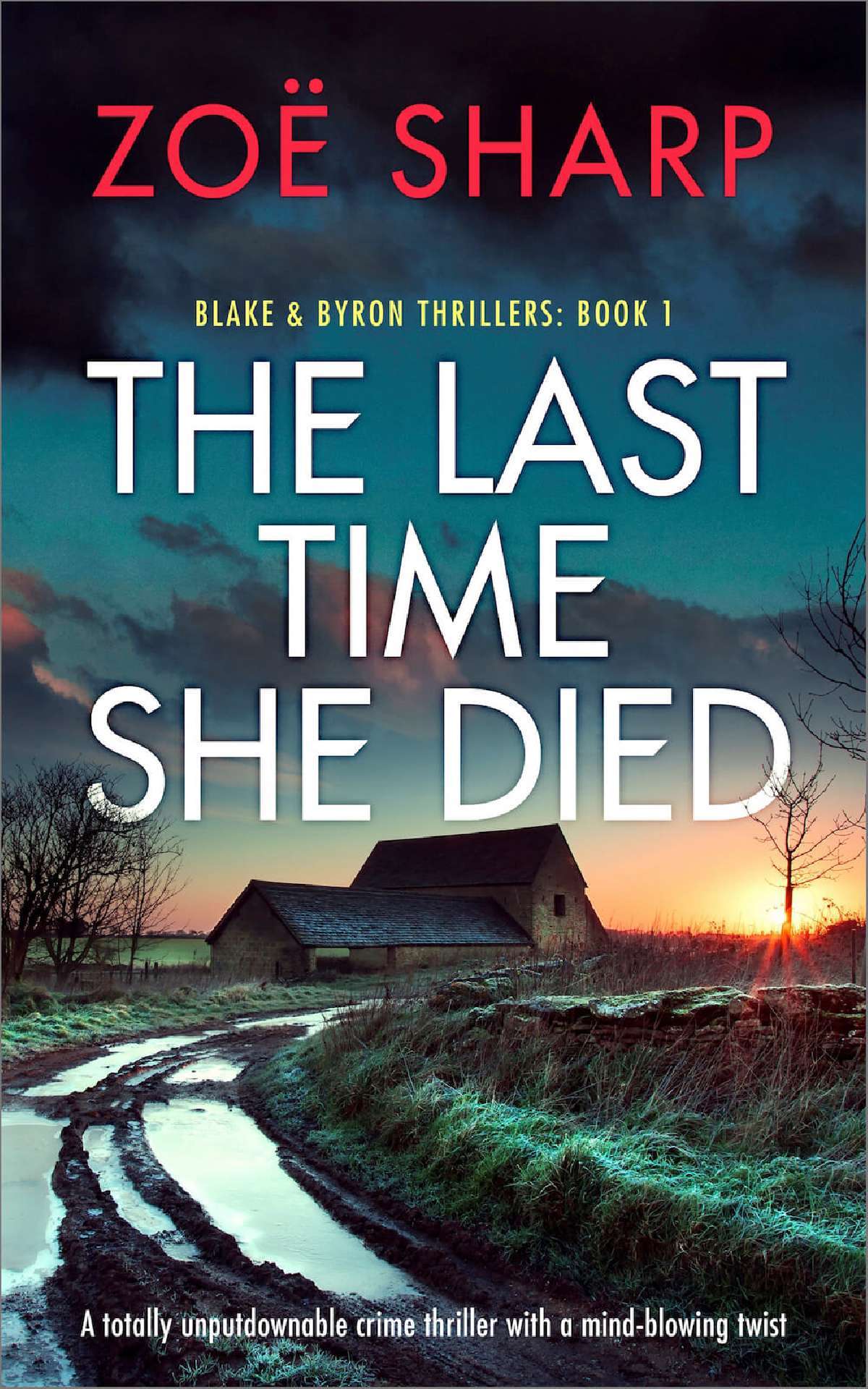 The Last Time She Died - Blake & Byron Thrillers 1