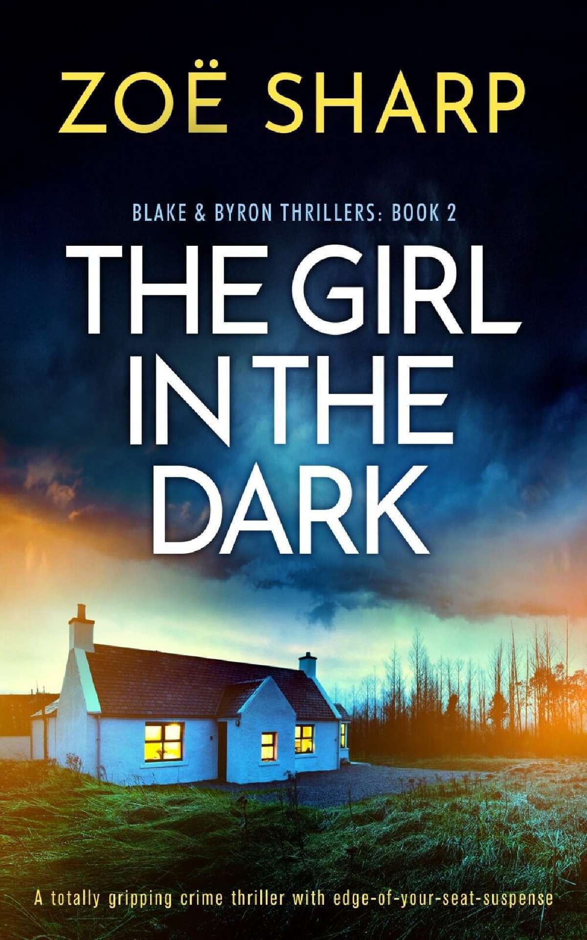 The Girl In The Dark - Blake & Byron Thrillers 2