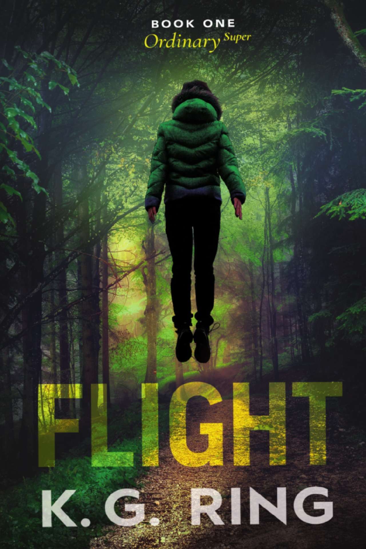 FLIGHT - Ordinaryˢᵘᵖᵉʳ 1