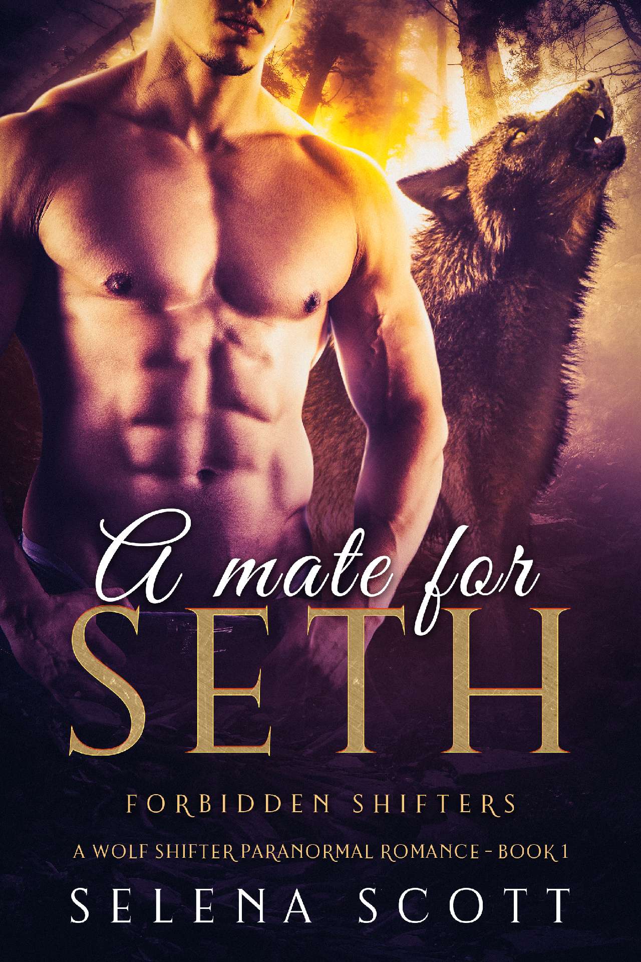 A Mate For Seth - Forbidden Shiters 1
