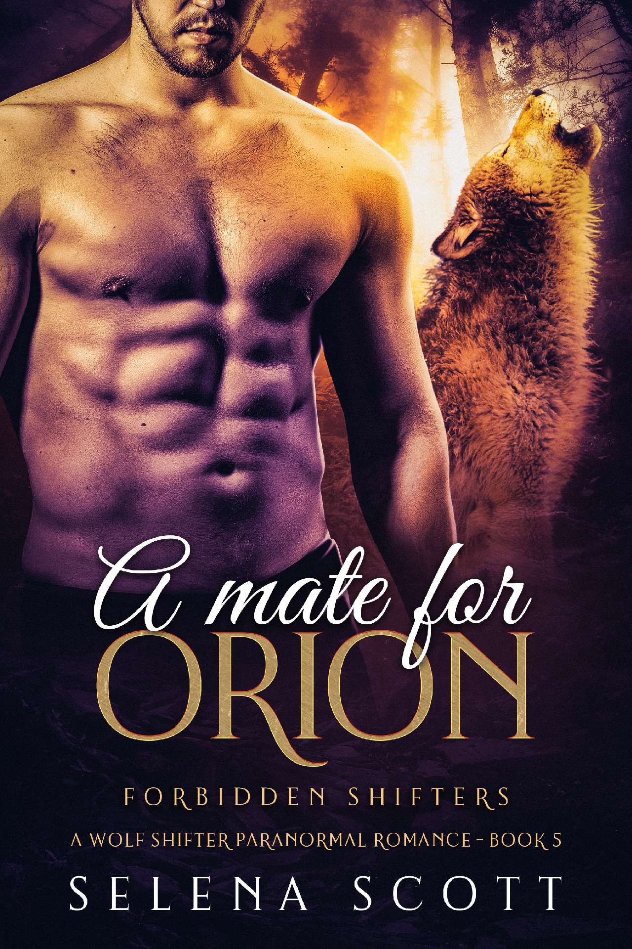 A Mate For Orion - Forbidden Shifters 5