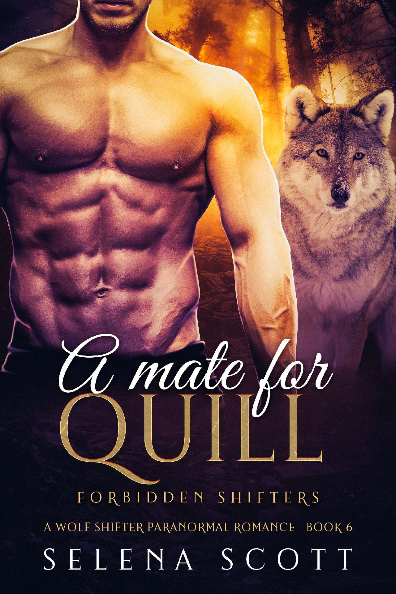 A Mate For Quill - Forbidden Shifters 6