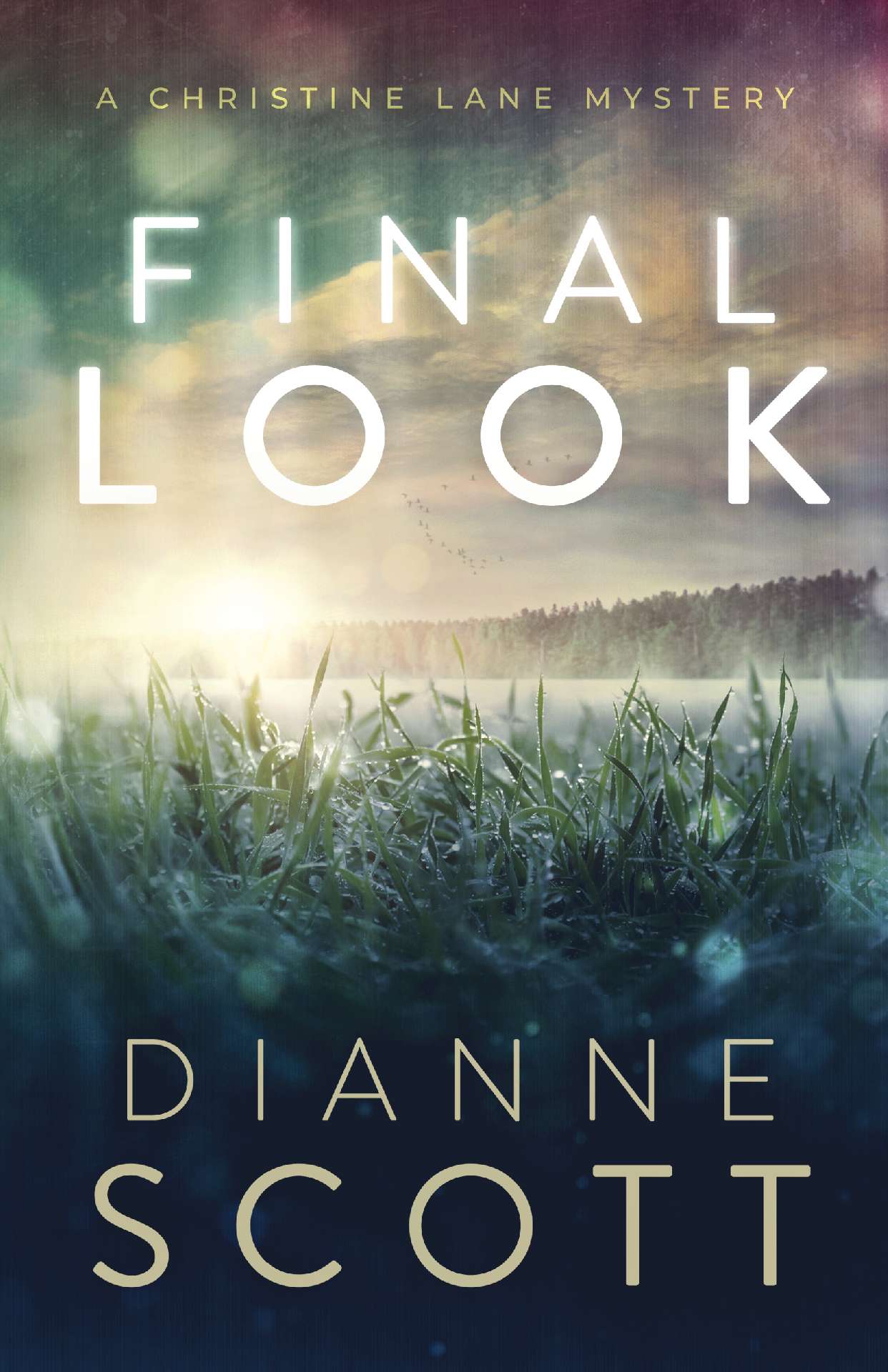 Final Look - A Christine Lane Mystery 1