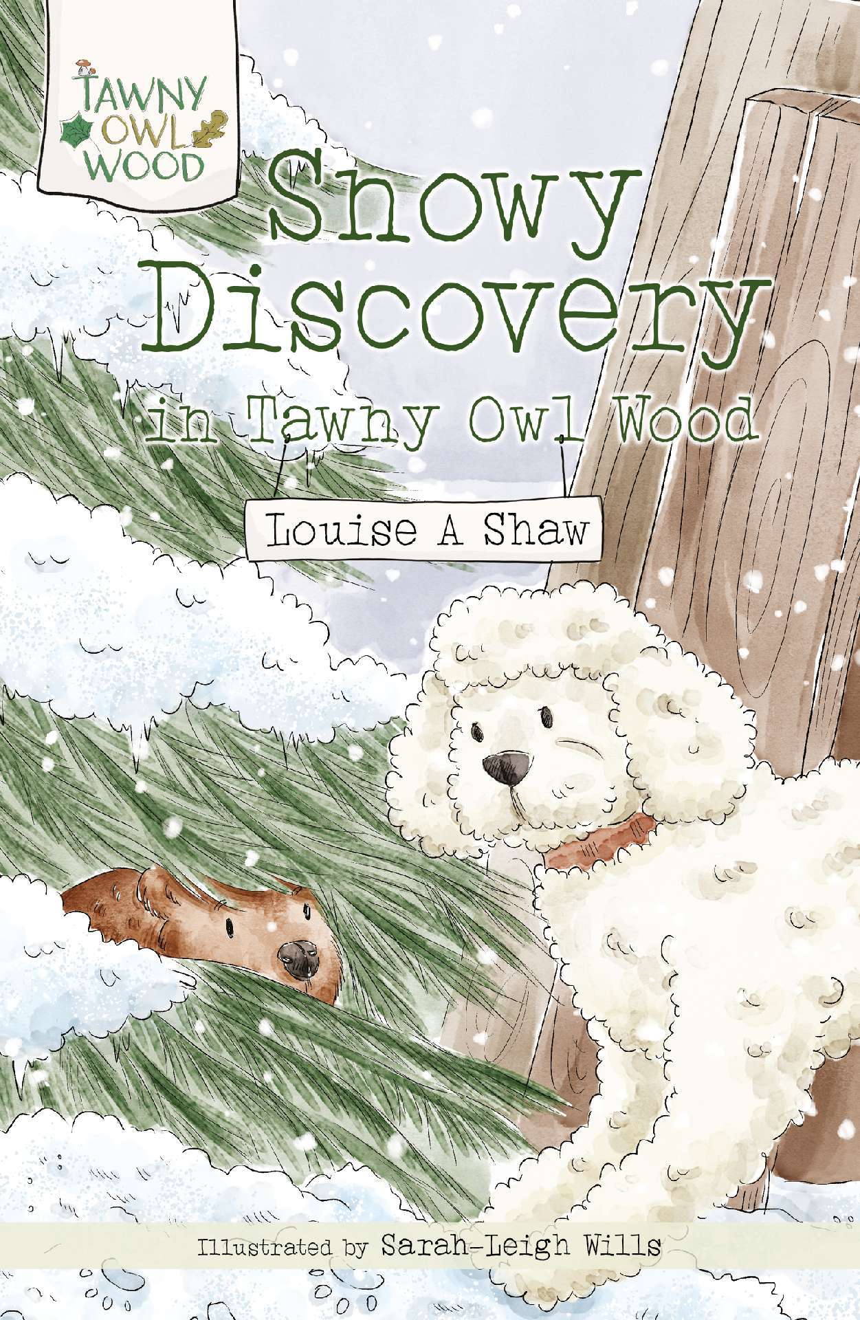Snowy Discovery - Tawny Owl Wood