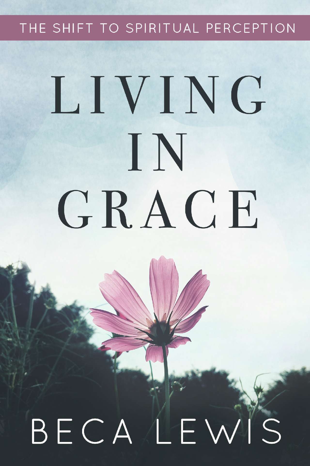Living In Grace: The Shift To Spiritual Perception - The Shift Series 1