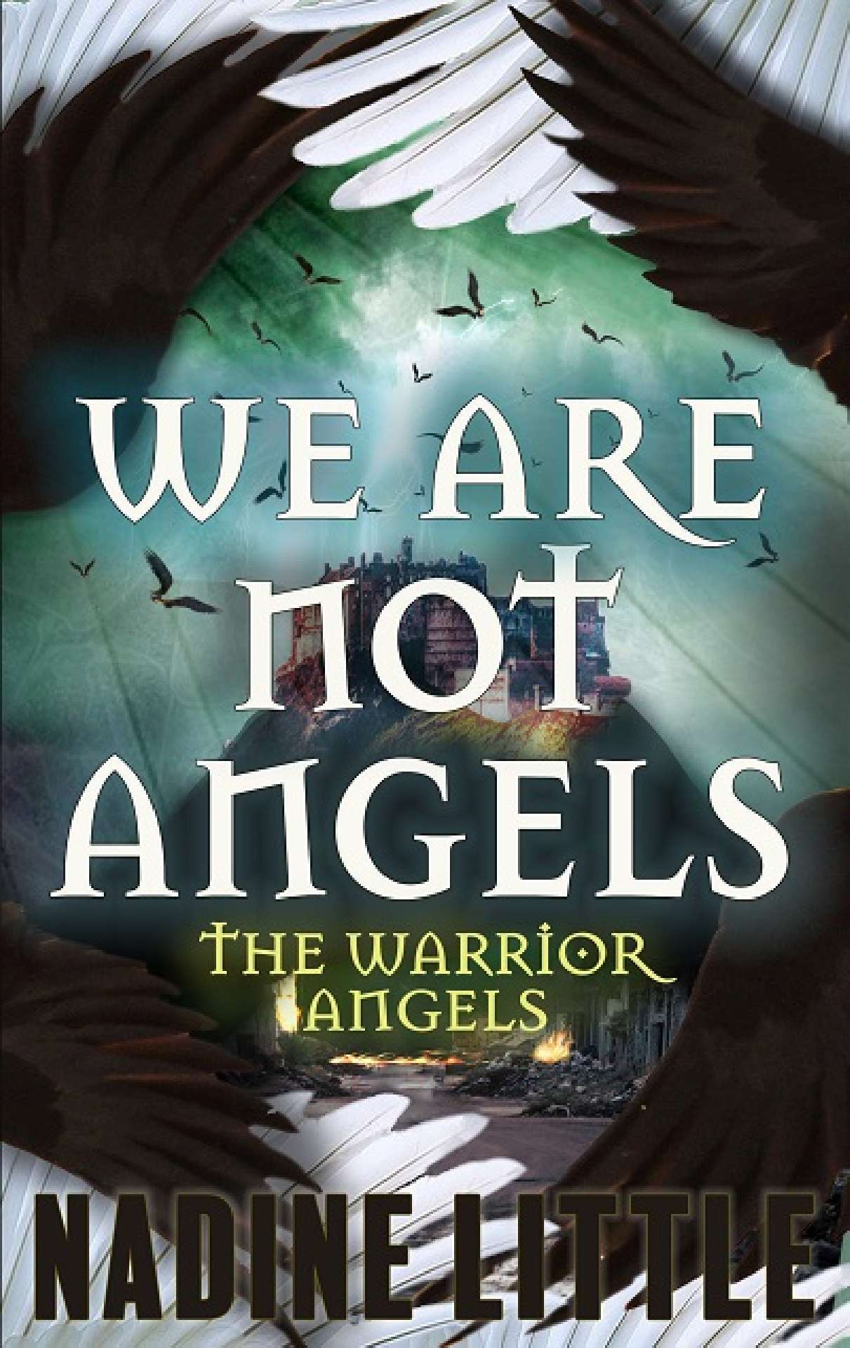 We Are Not Angels - The Warrior Angels 1