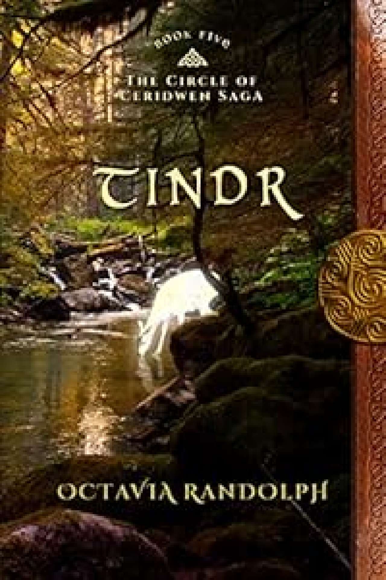 Tindr: Book Five of The Circle of Ceridwen Saga - The Circle of Ceridwen Saga 5