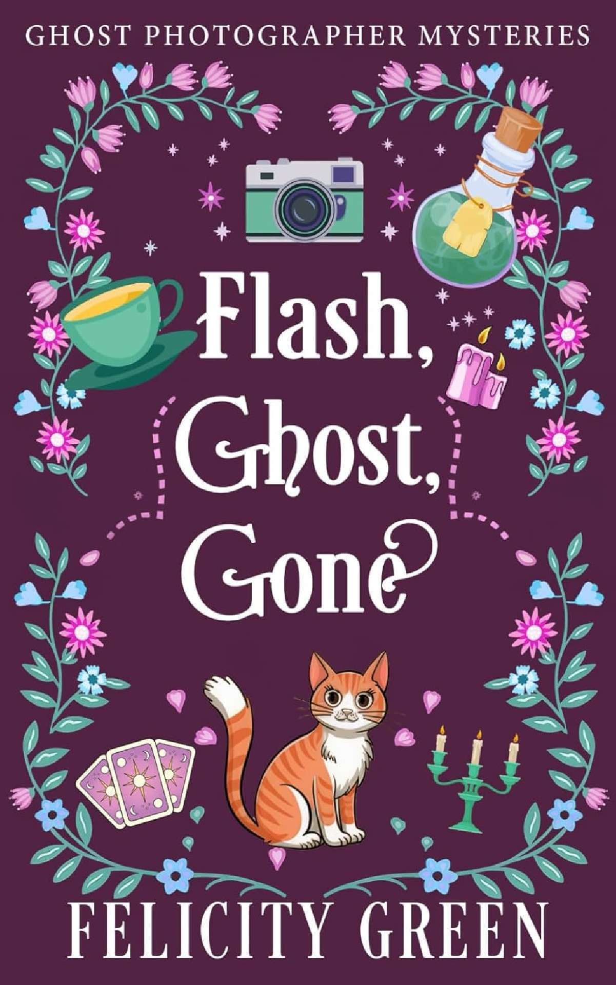Flash, Ghost, Gone: A Ghost Photographer Paranormal Cozy Mystery - Ghost Photographer Mysteries 3