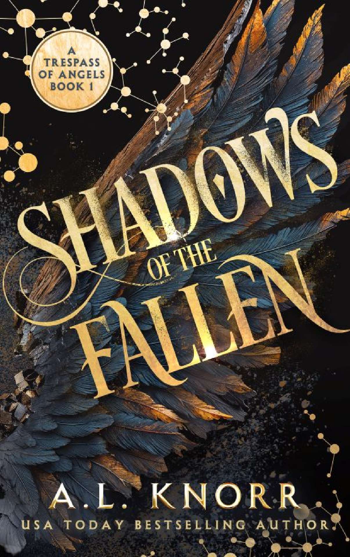 Shadows of the Fallen - A Trespass of Angels 1
