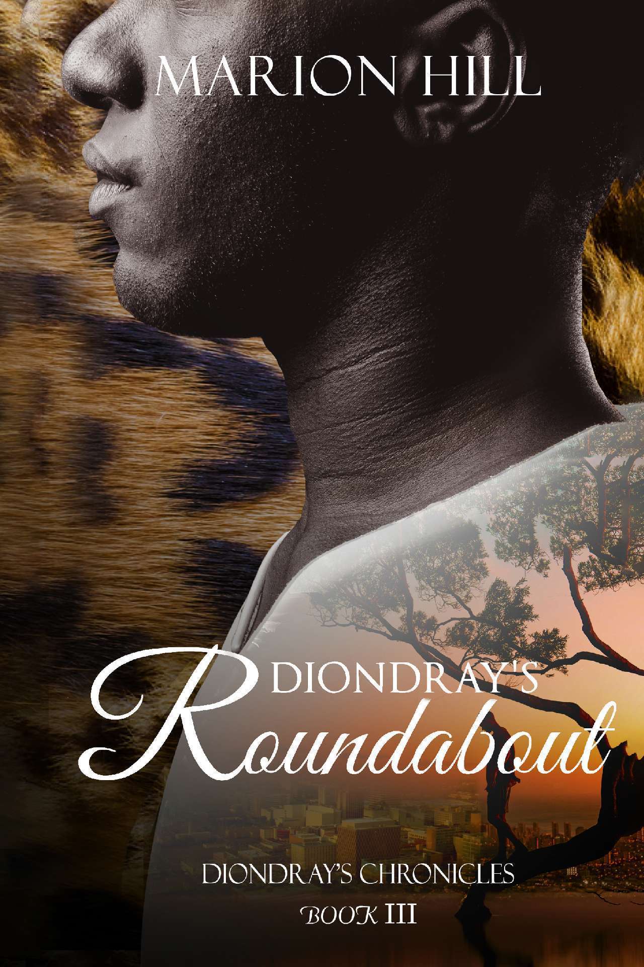 Diondray's Roundabout - Diondray's Chronicles 3