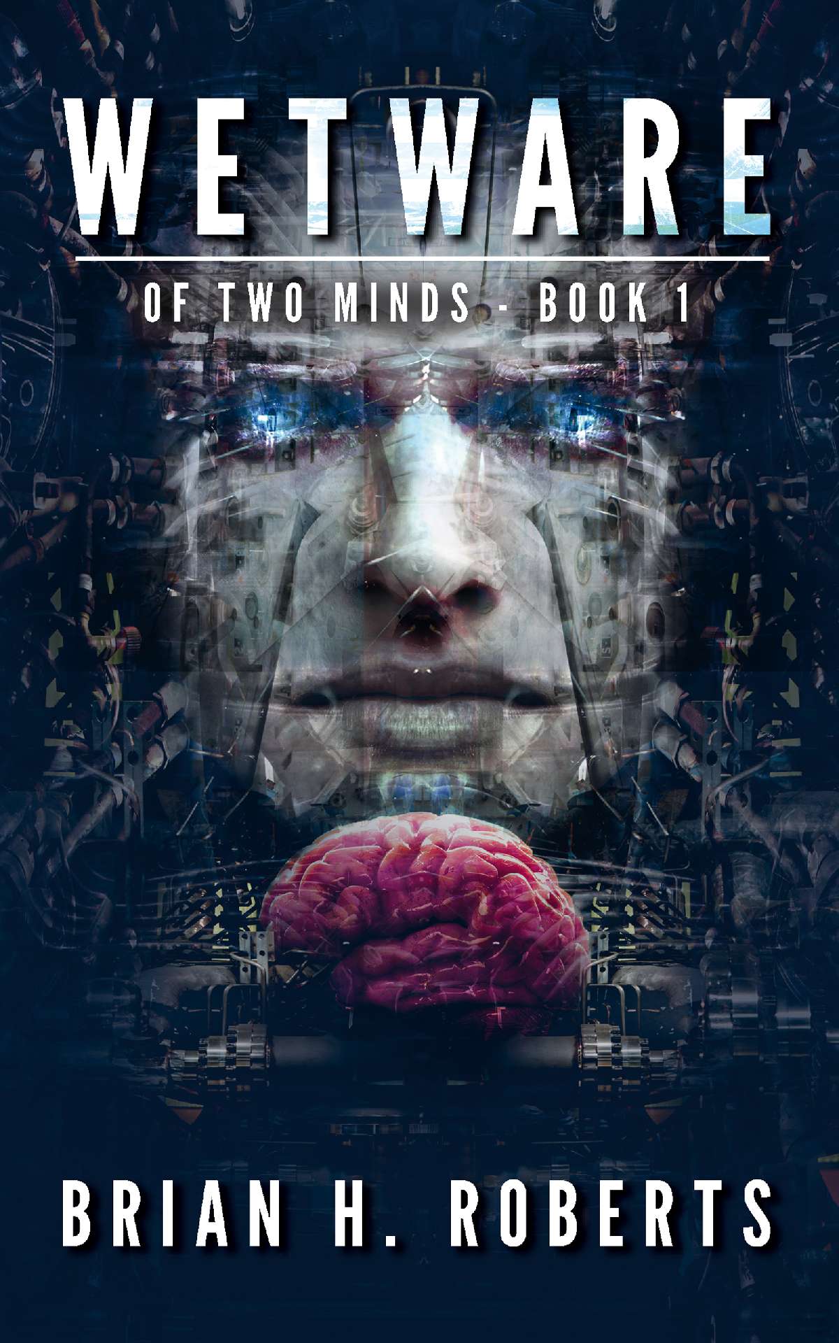 Wetware - Of Two Minds 1
