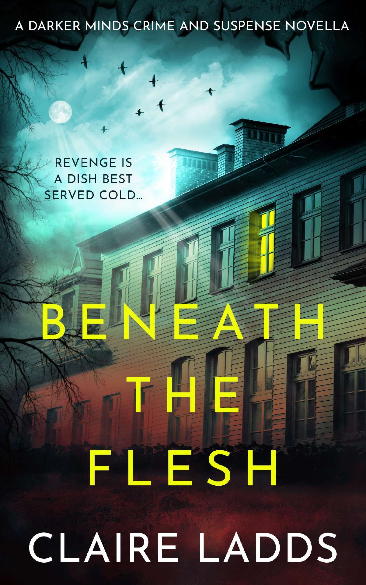 Beneath the Flesh - Darker Minds Crime & Suspense