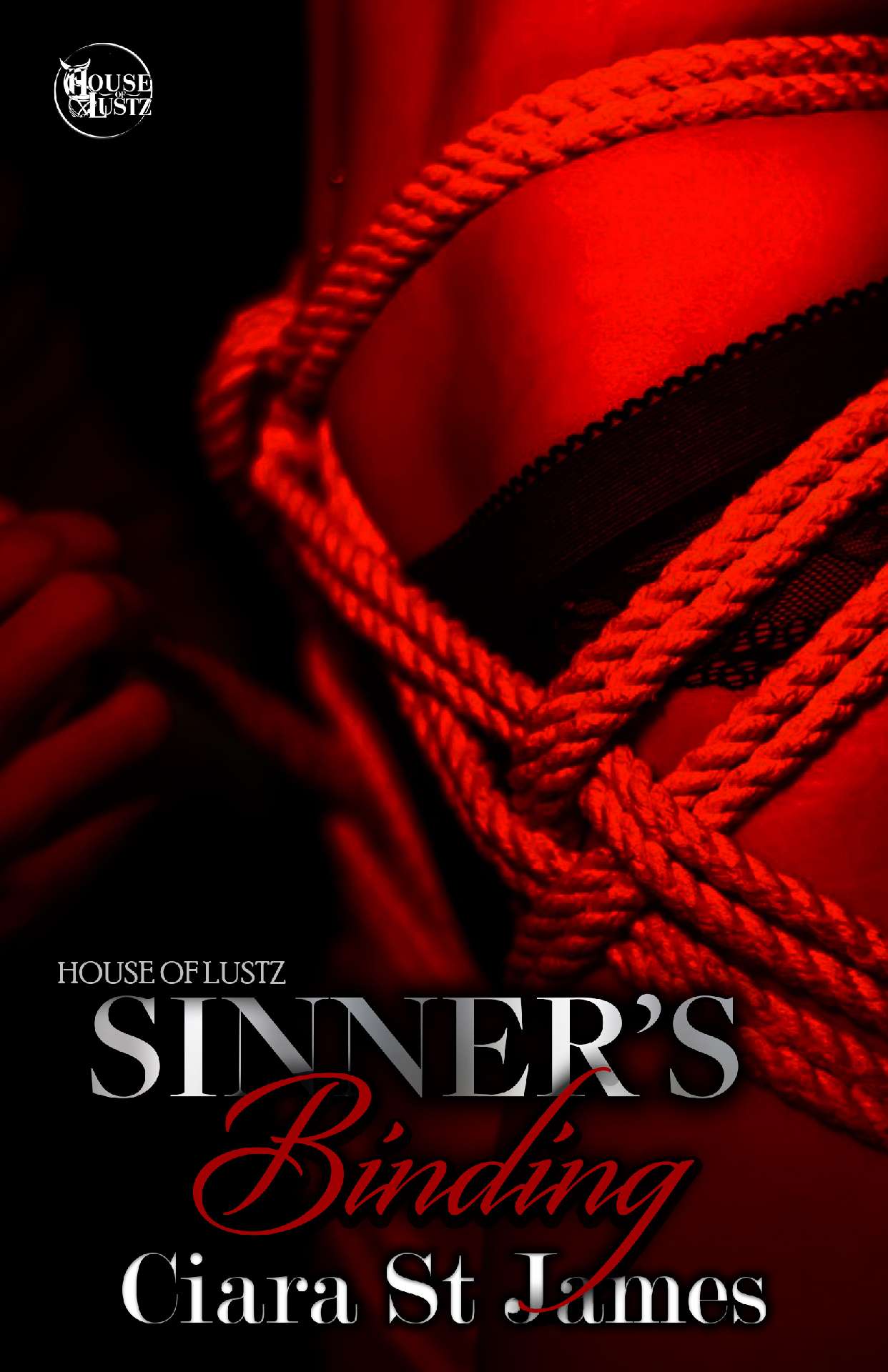 Sinner's Binding - House of Lustz (BDSM) 5