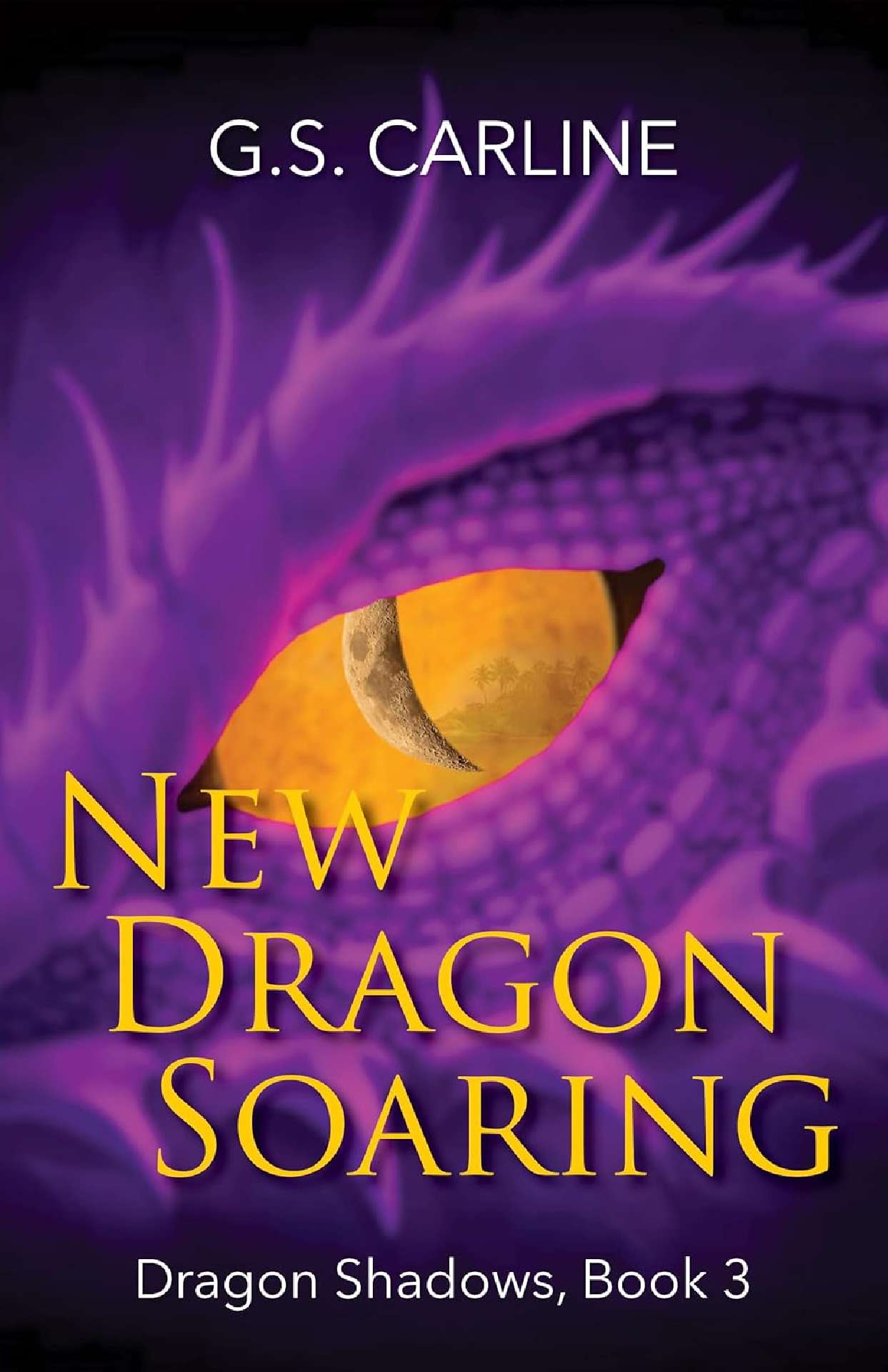 New Dragon Soaring - Dragon Shadows Trilogy 3