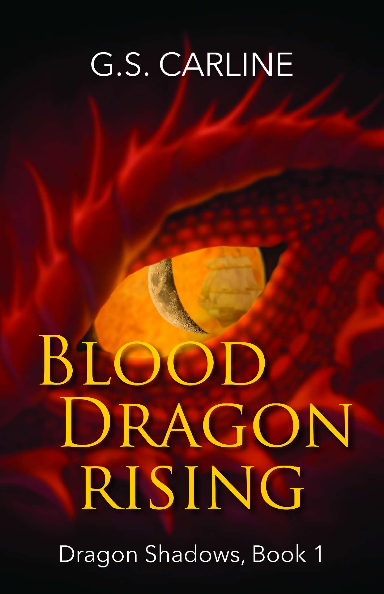 Blood Dragon Rising - Dragon Shadows Trilogy 1