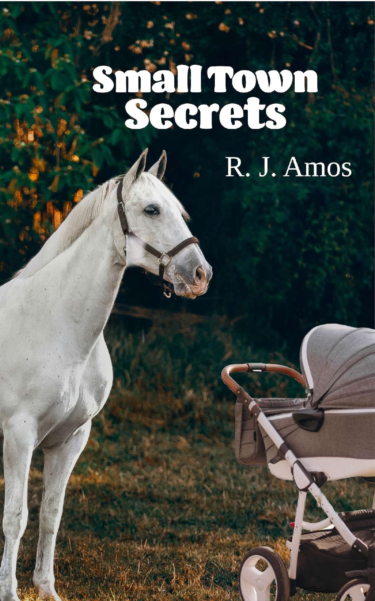Small Town Secrets - Small Town 2