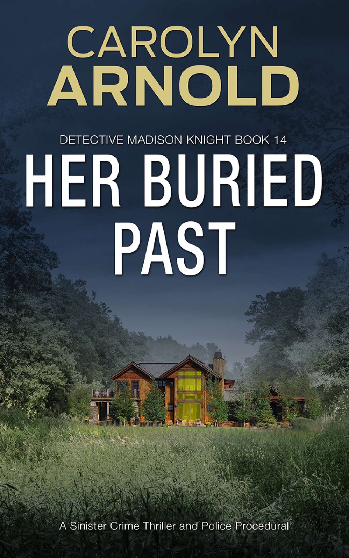 Her Buried Past - Detective Madison Knight Series 14
