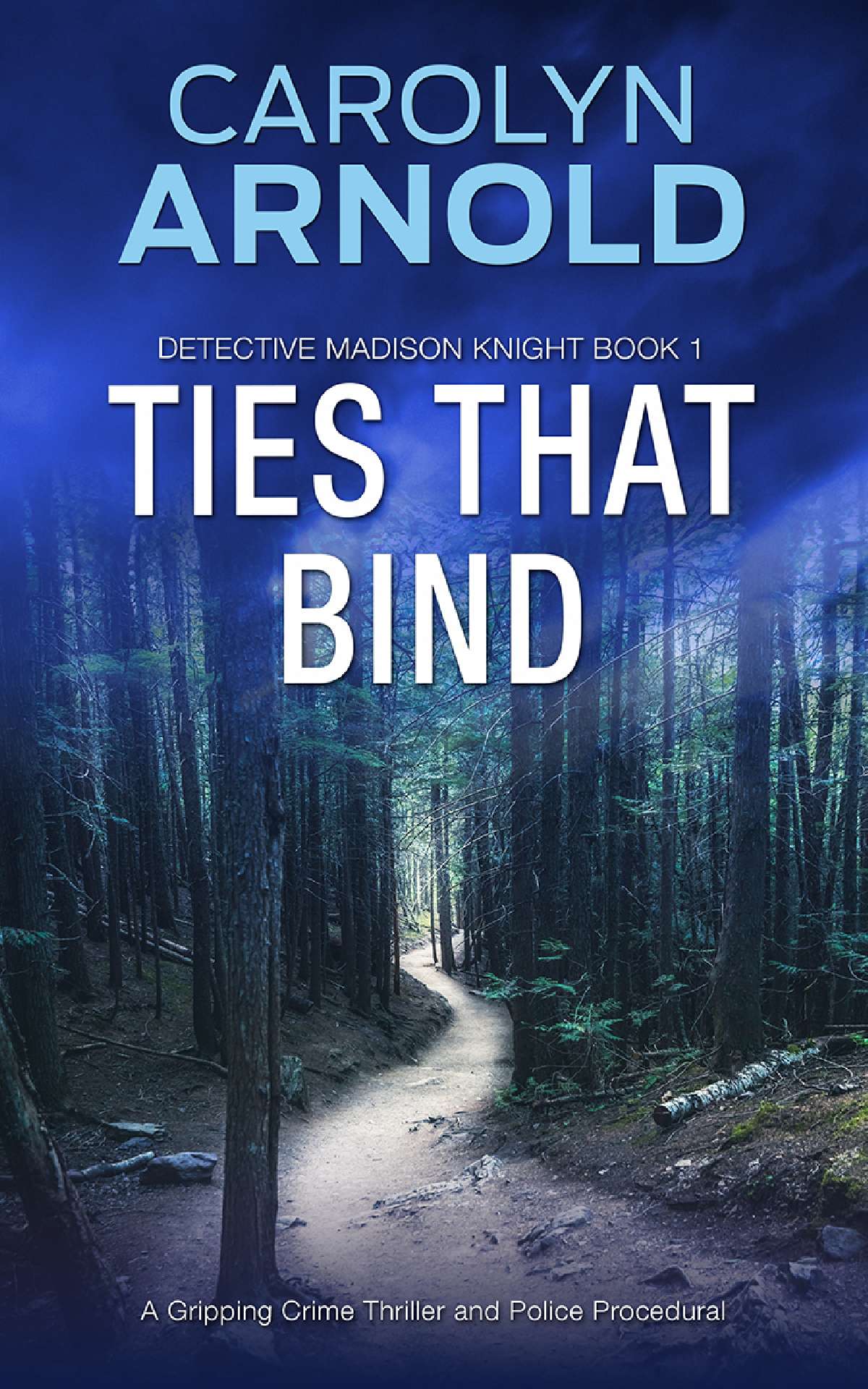 Ties That Bind - Detective Madison Knight Series 1
