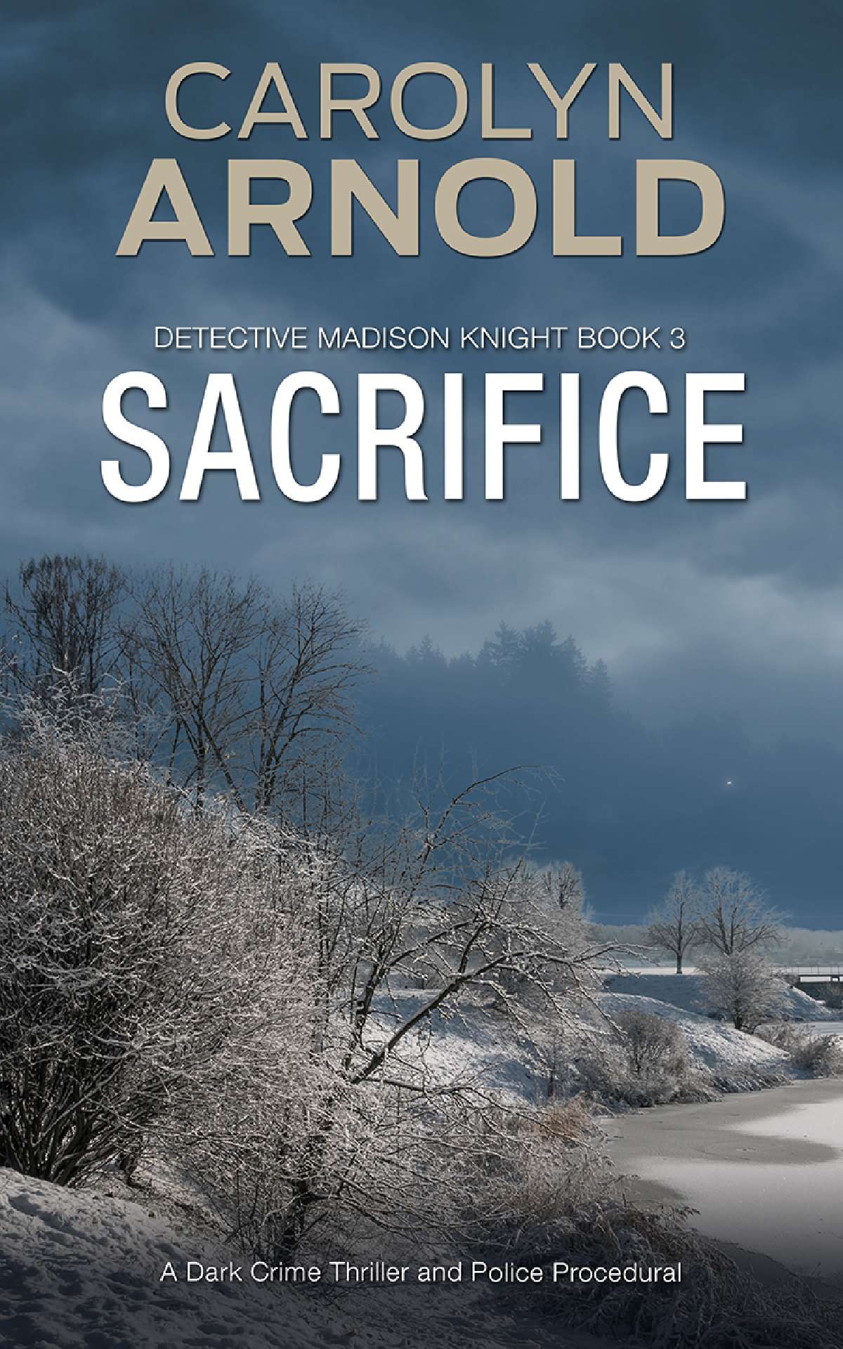 Sacrifice - Detective Madison Knight Series 3